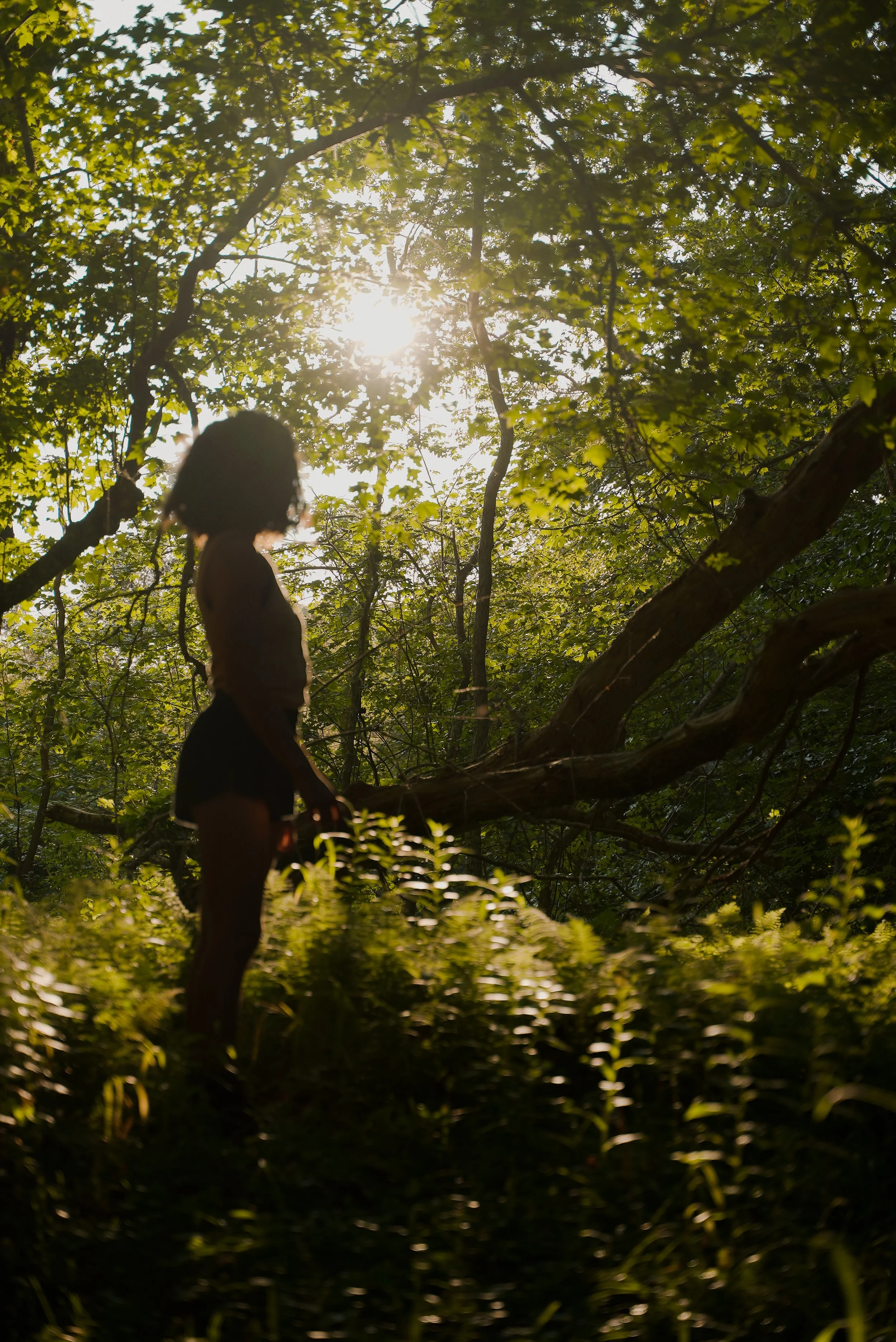 Silhouette of a person in a forested area with sunlight filtering through leaves
