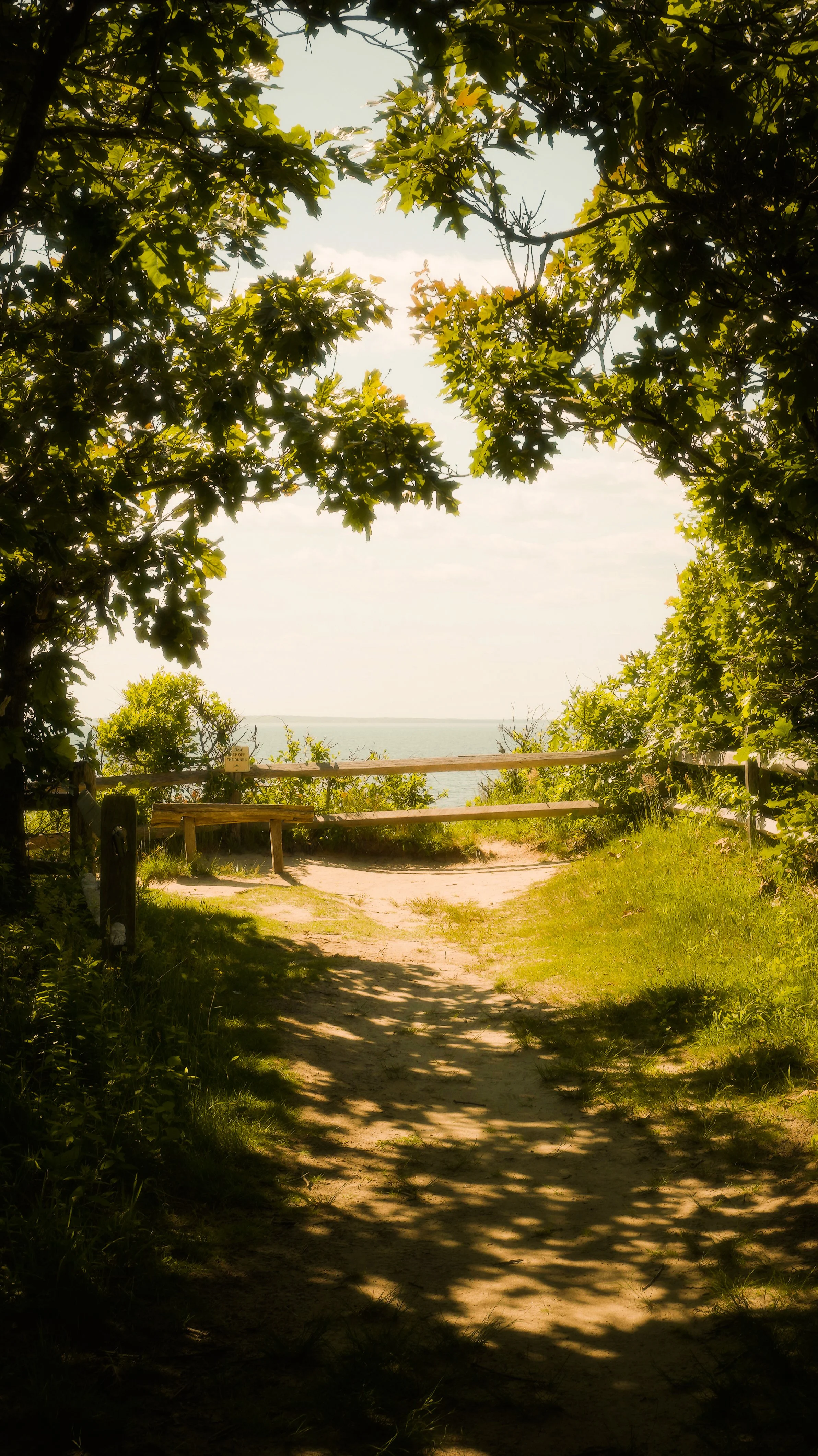 Great rock bight, Martha's Vineyard