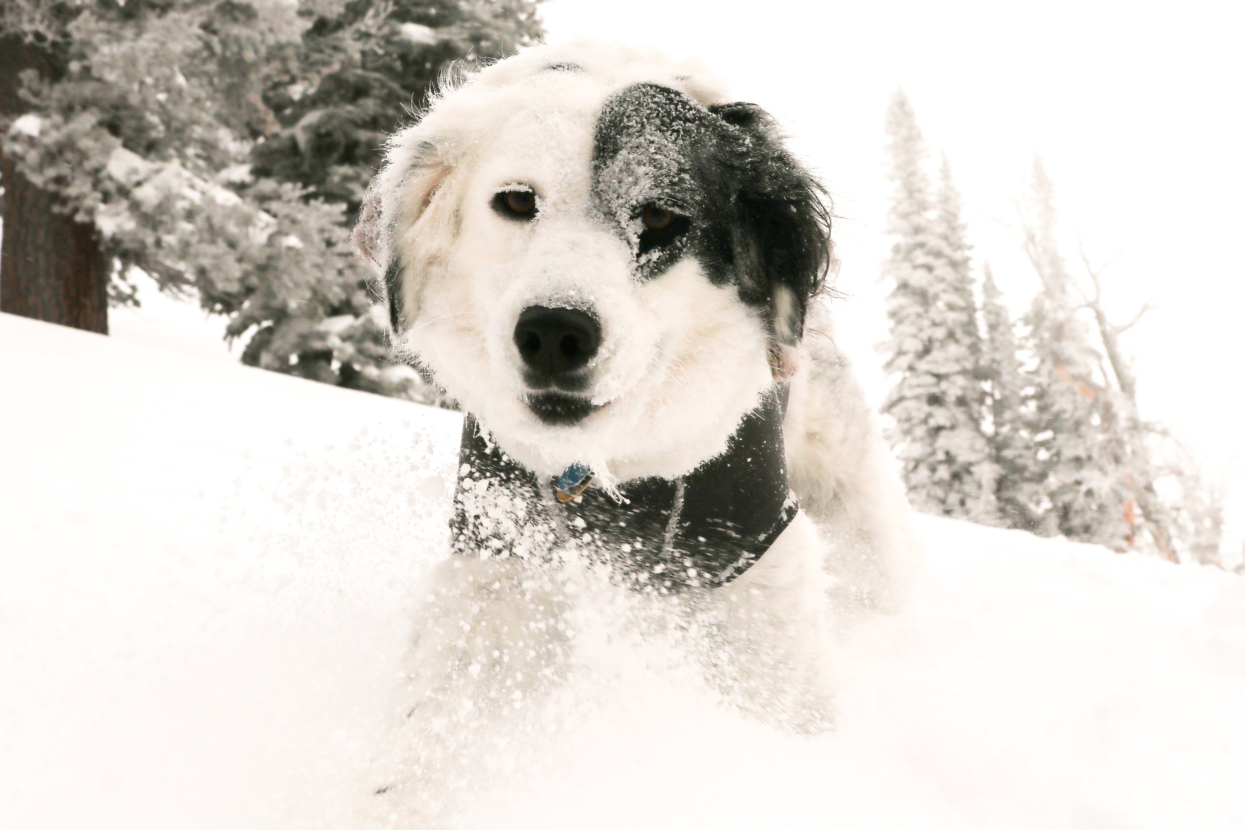 Booters and First World Problems