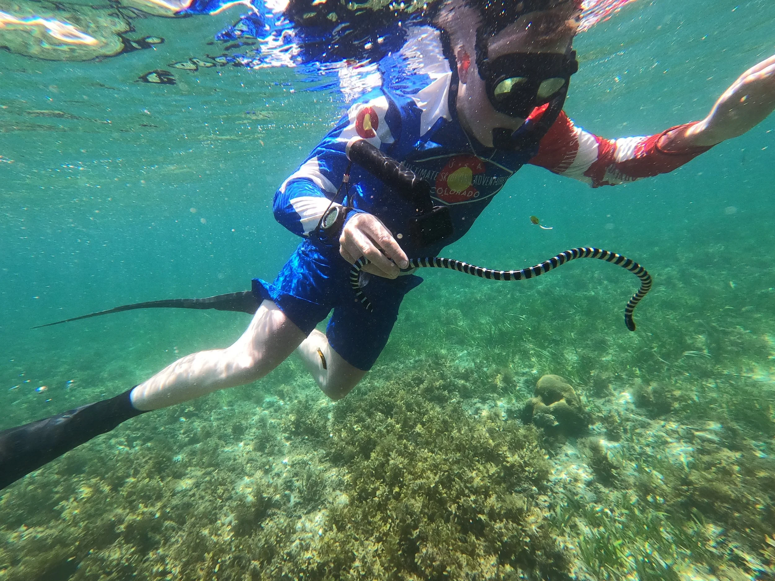 GPTempDownload 3.JPG