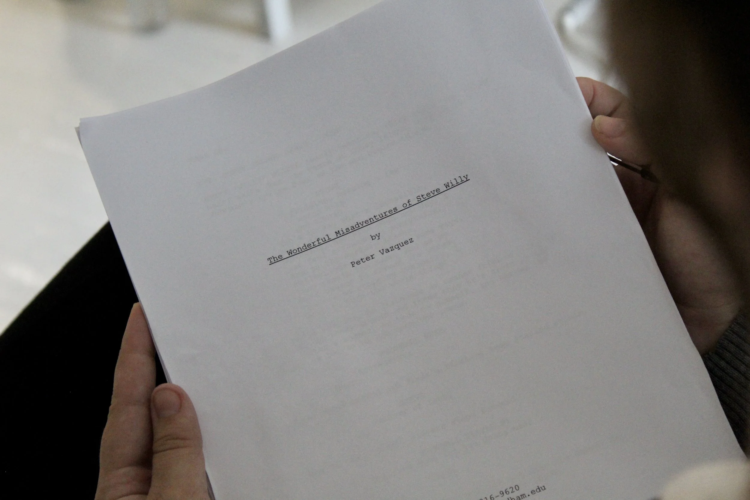 The Wonderful Misadventures of Steve Willy