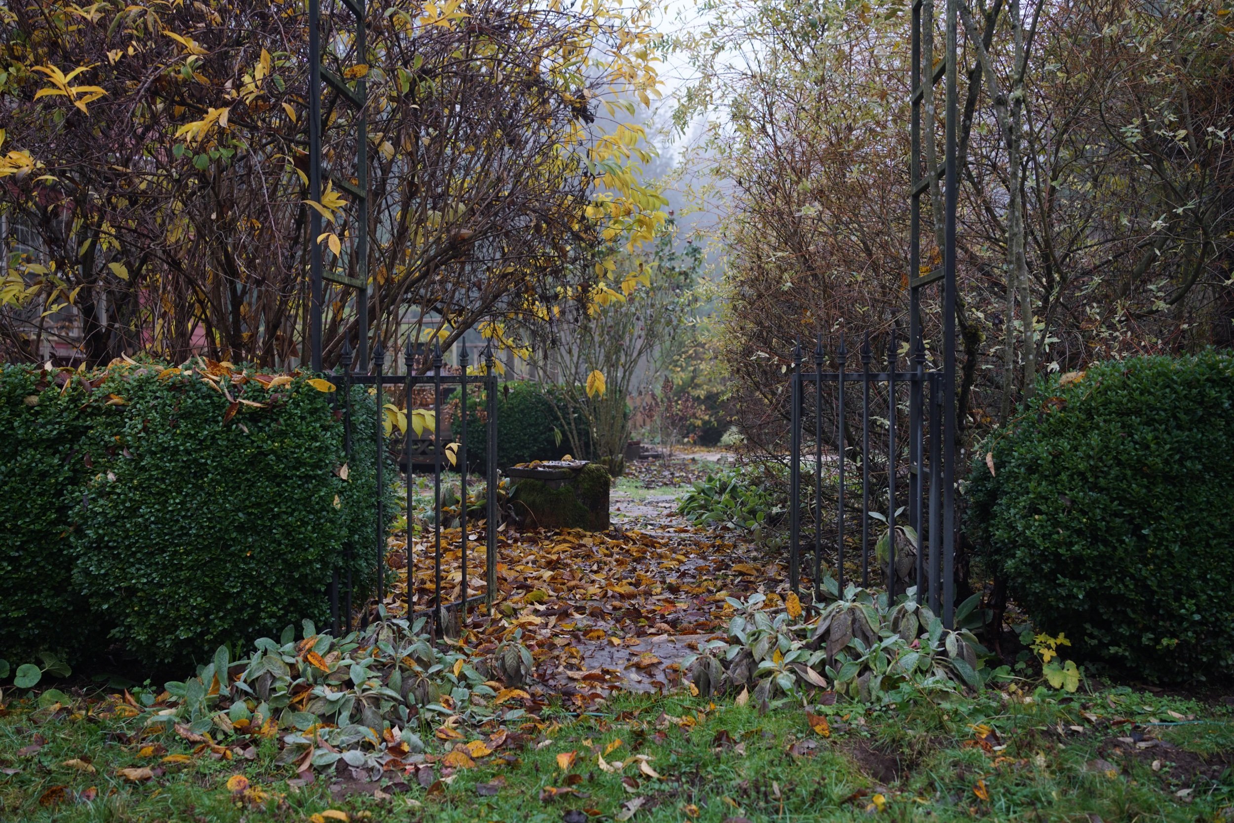 Autumn: