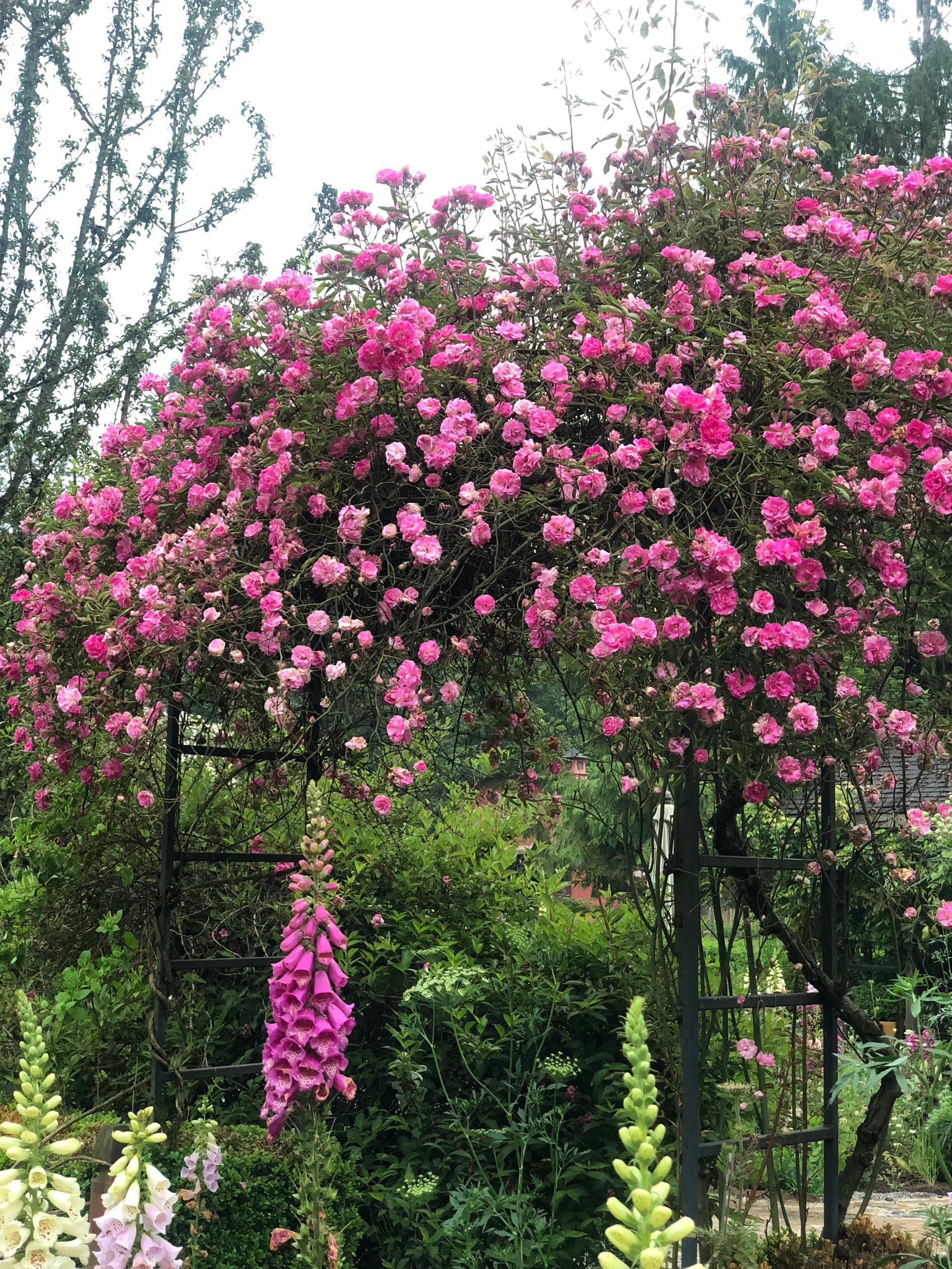 A Garden for the Pollinators