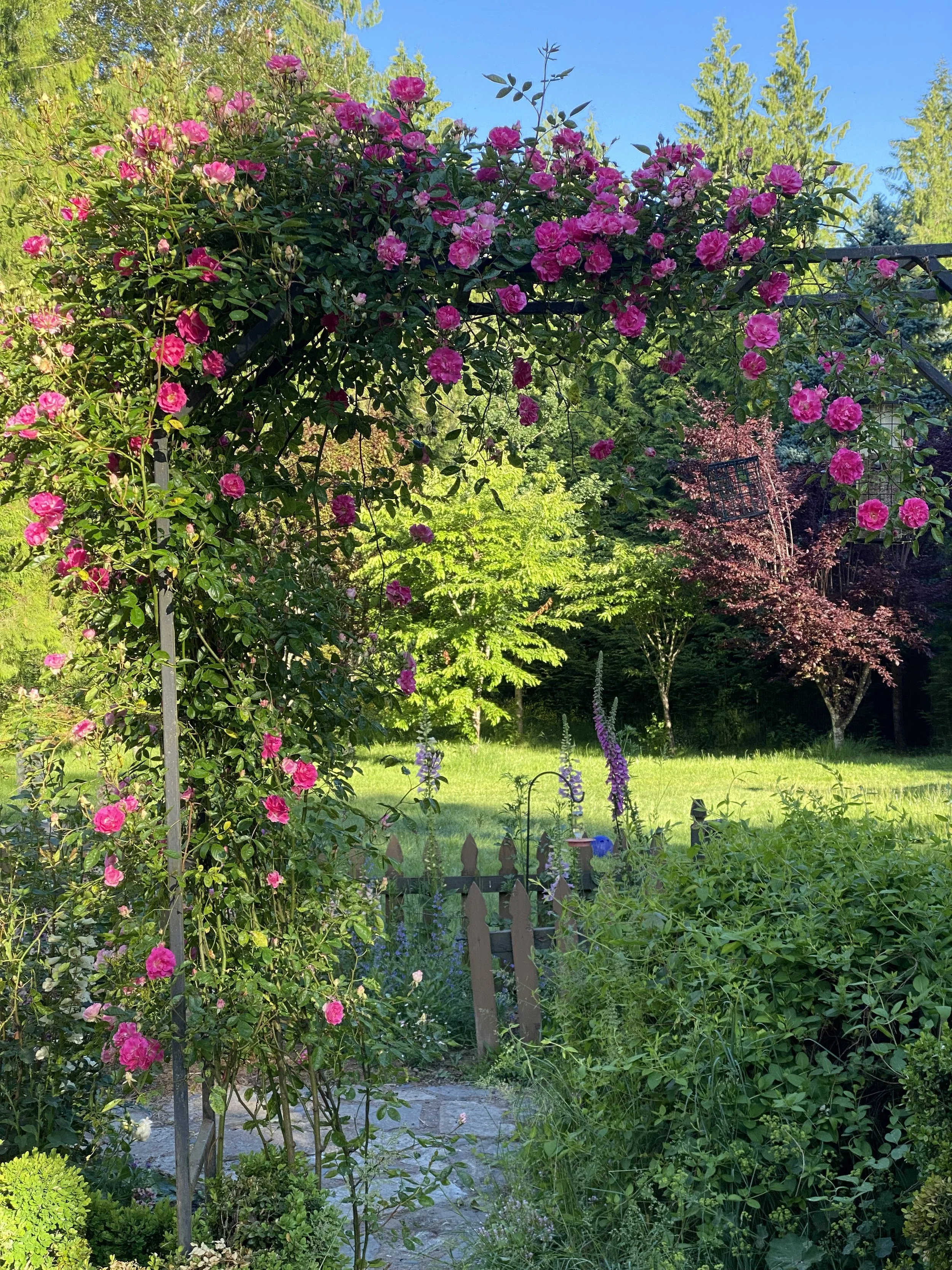 Lovely May