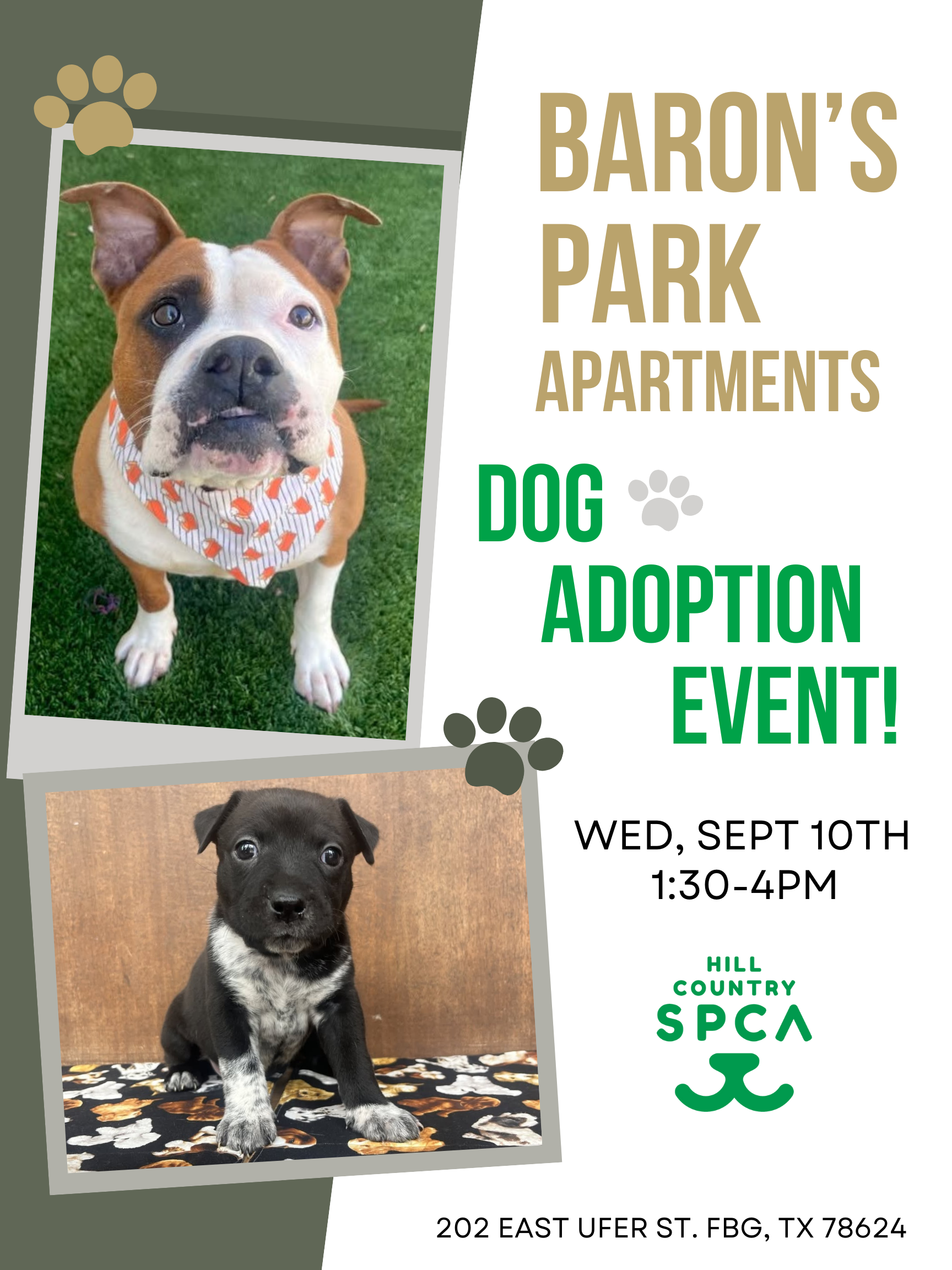Baron's Park Adoption Event