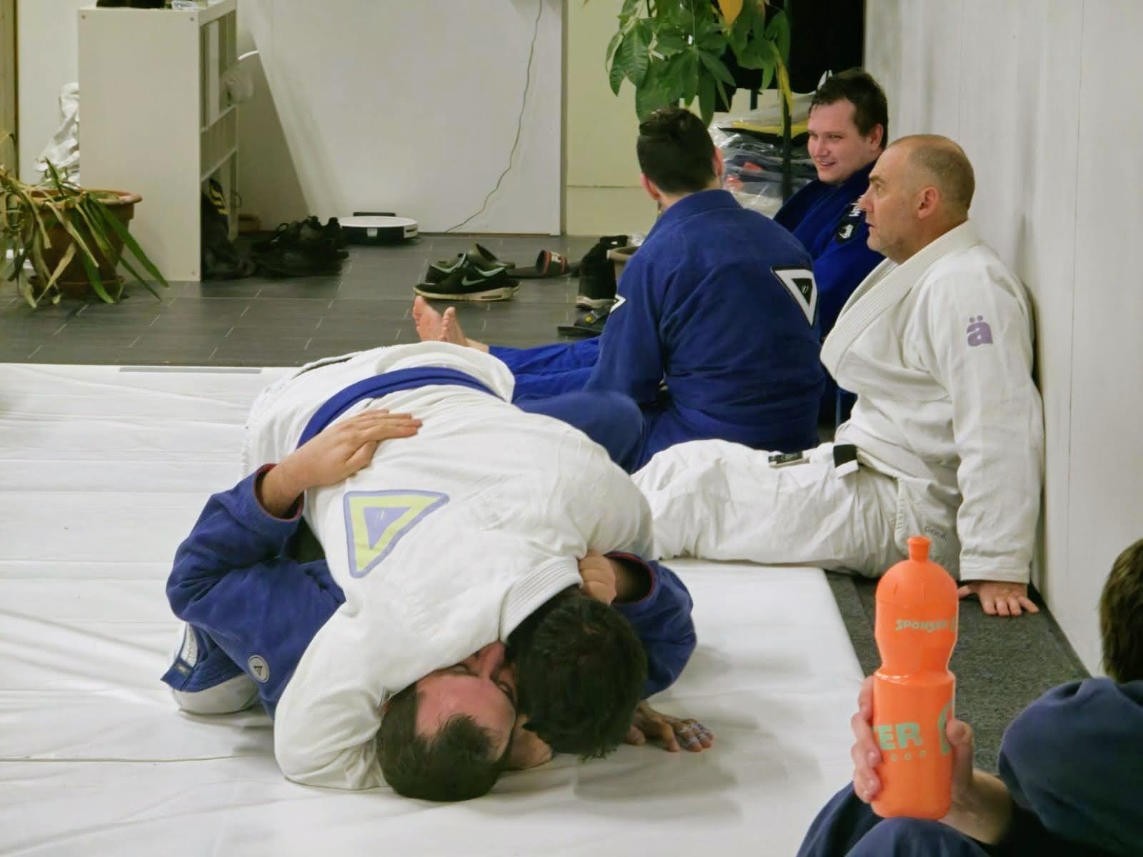 Warum der innere Schweinehund oft gewinnt – und wie man ihn überlistet