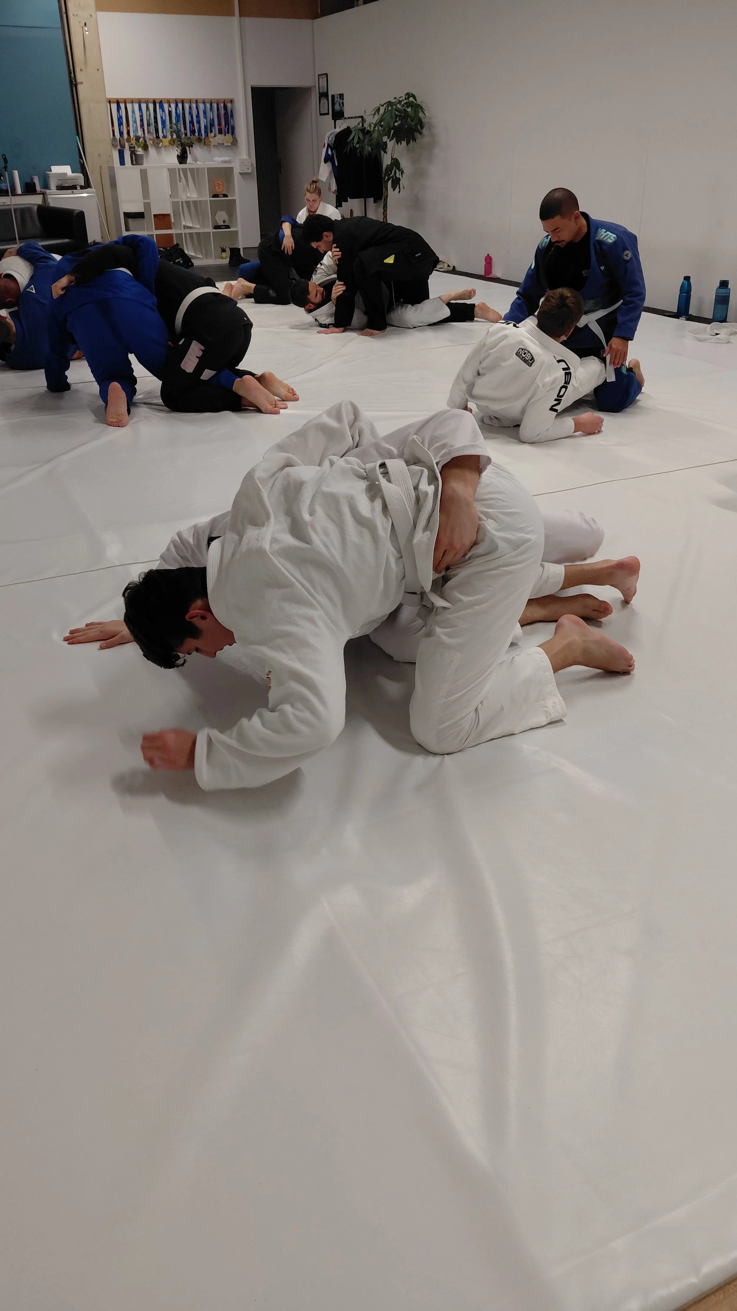 🔒 Geschlossene Türen im BJJ – wie Identität die Entwicklung stoppt