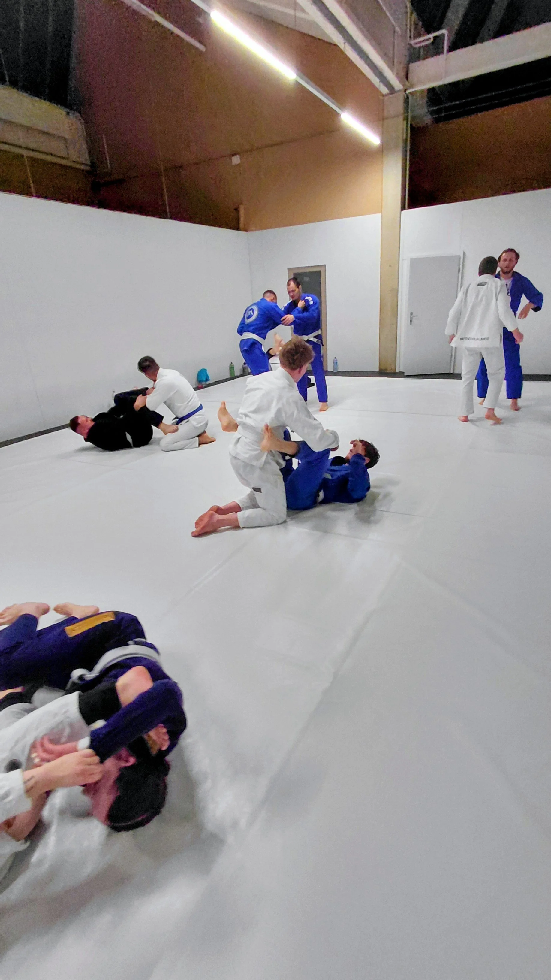 🥋 Stripes im Jiu-Jitsu – System oder Zufall?