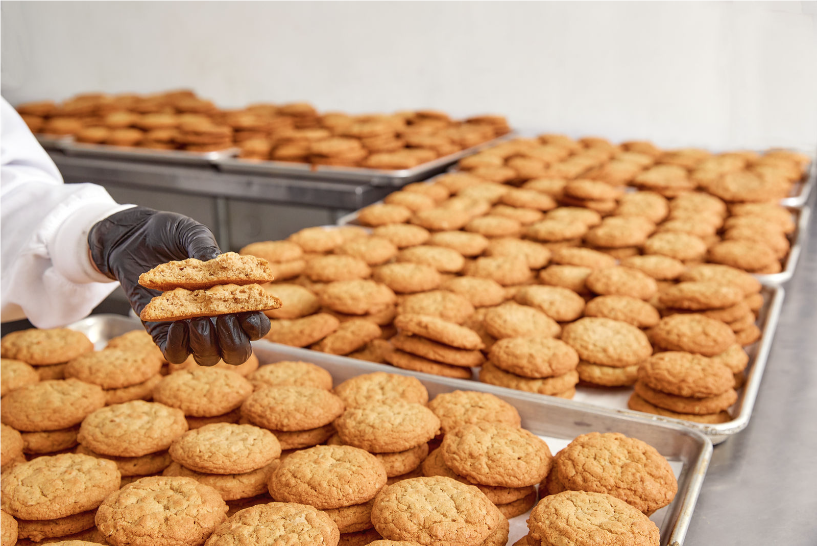 A person wearing a white jacket and black gloves holding two cookies over trays of baked cookies in a bakery or commercial kitchen.
