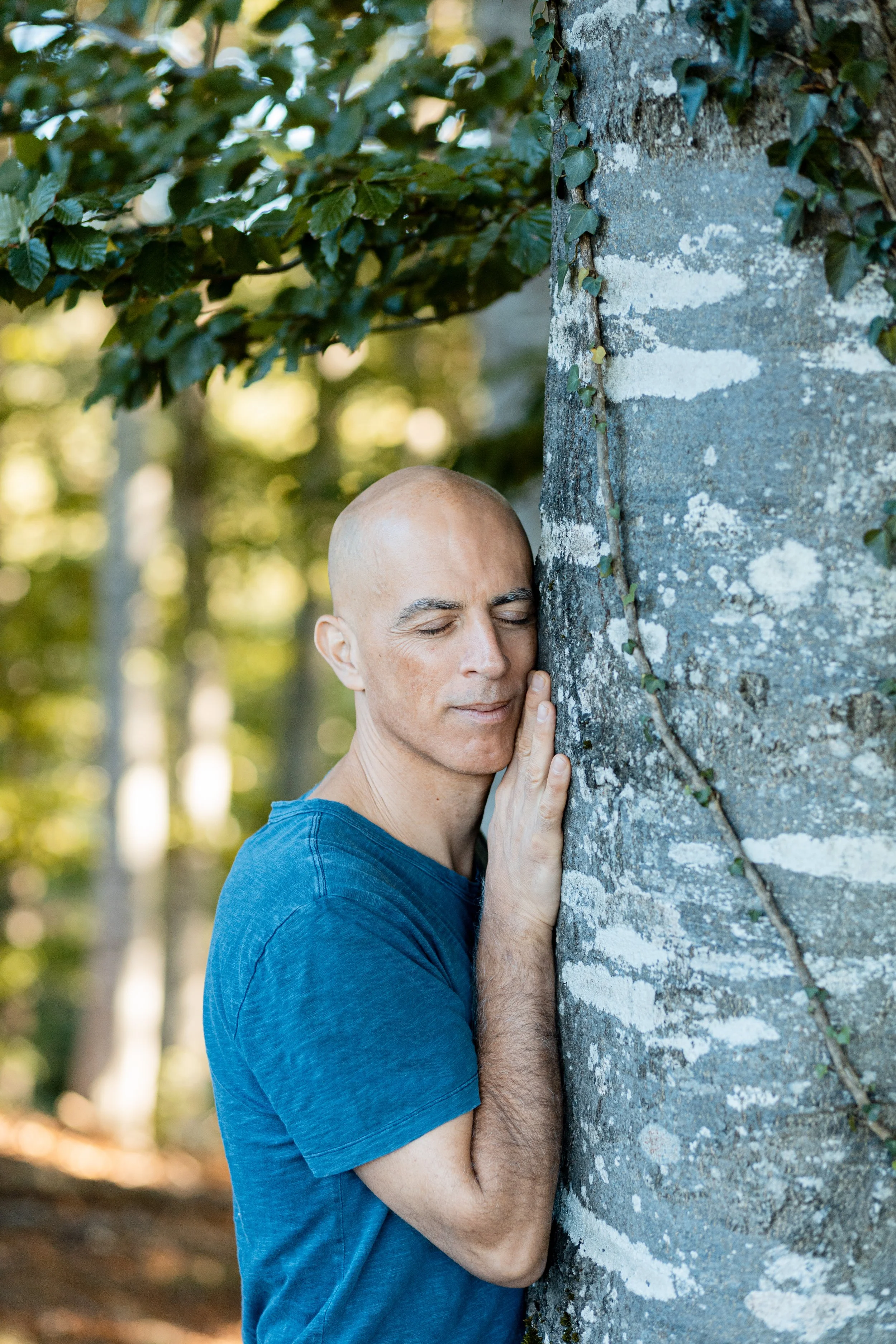 Ojas - Le Rayonnement