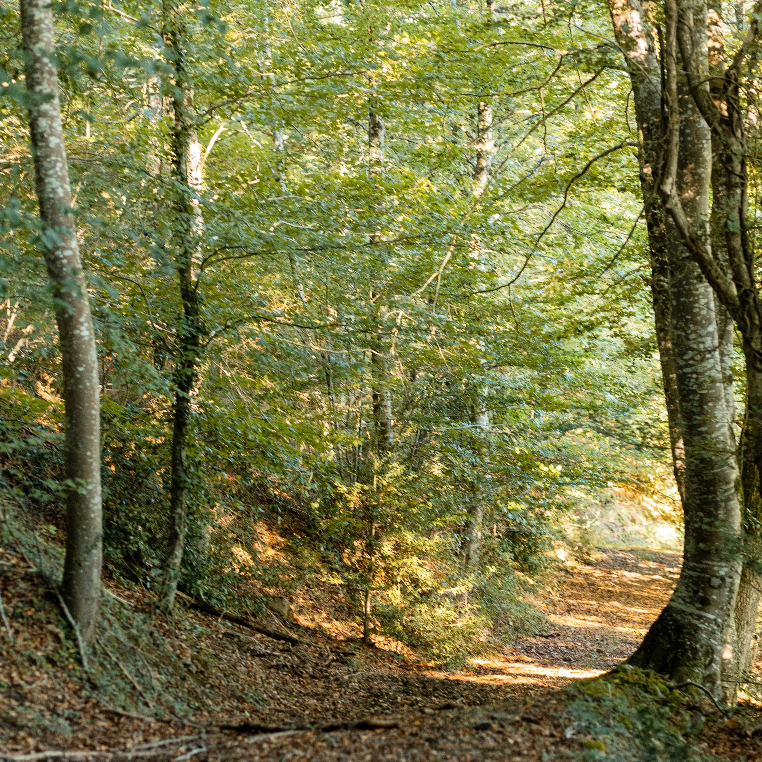 L’amour “juste”