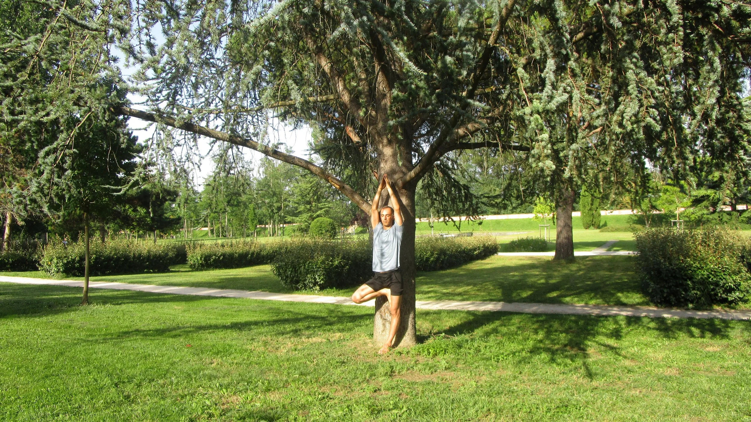 L’art d’être solide