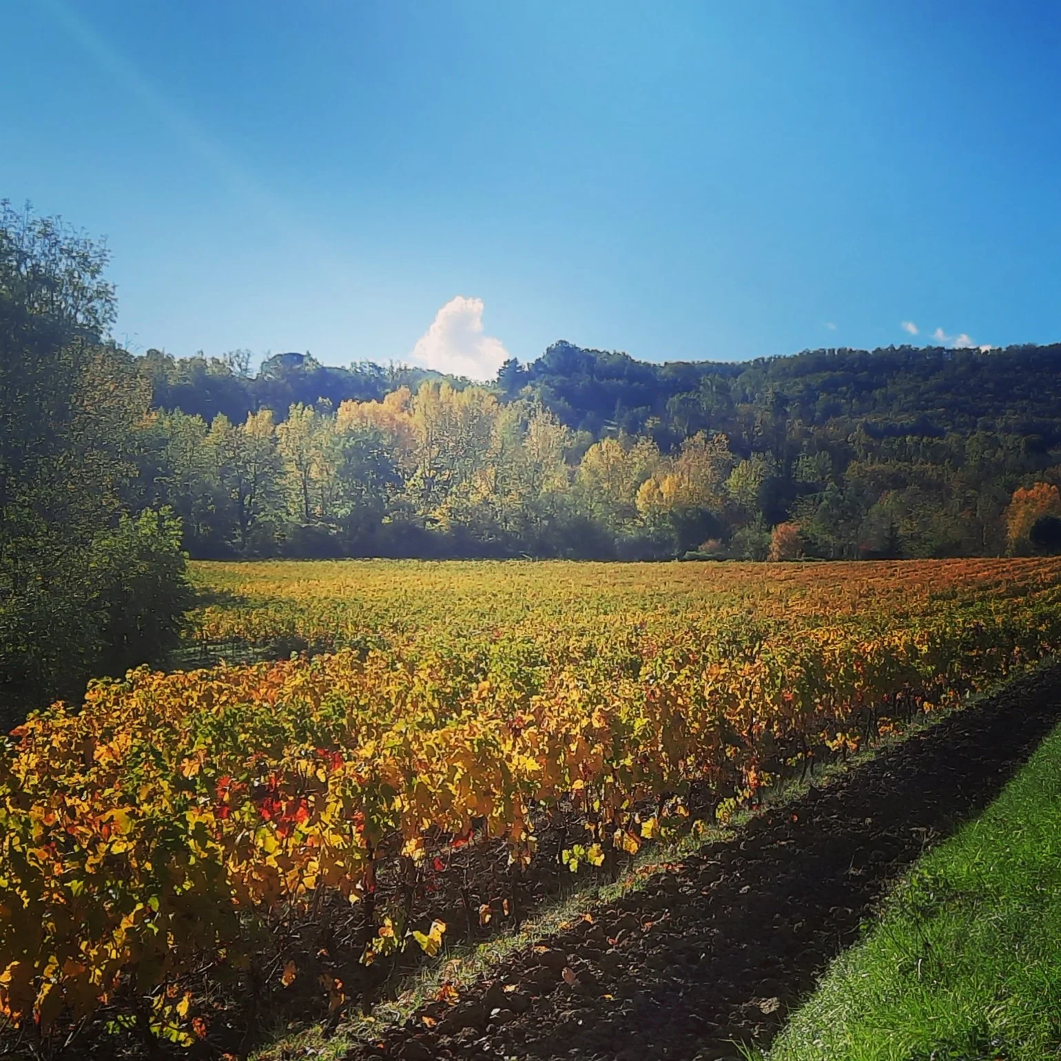 Une histoire d’attraction