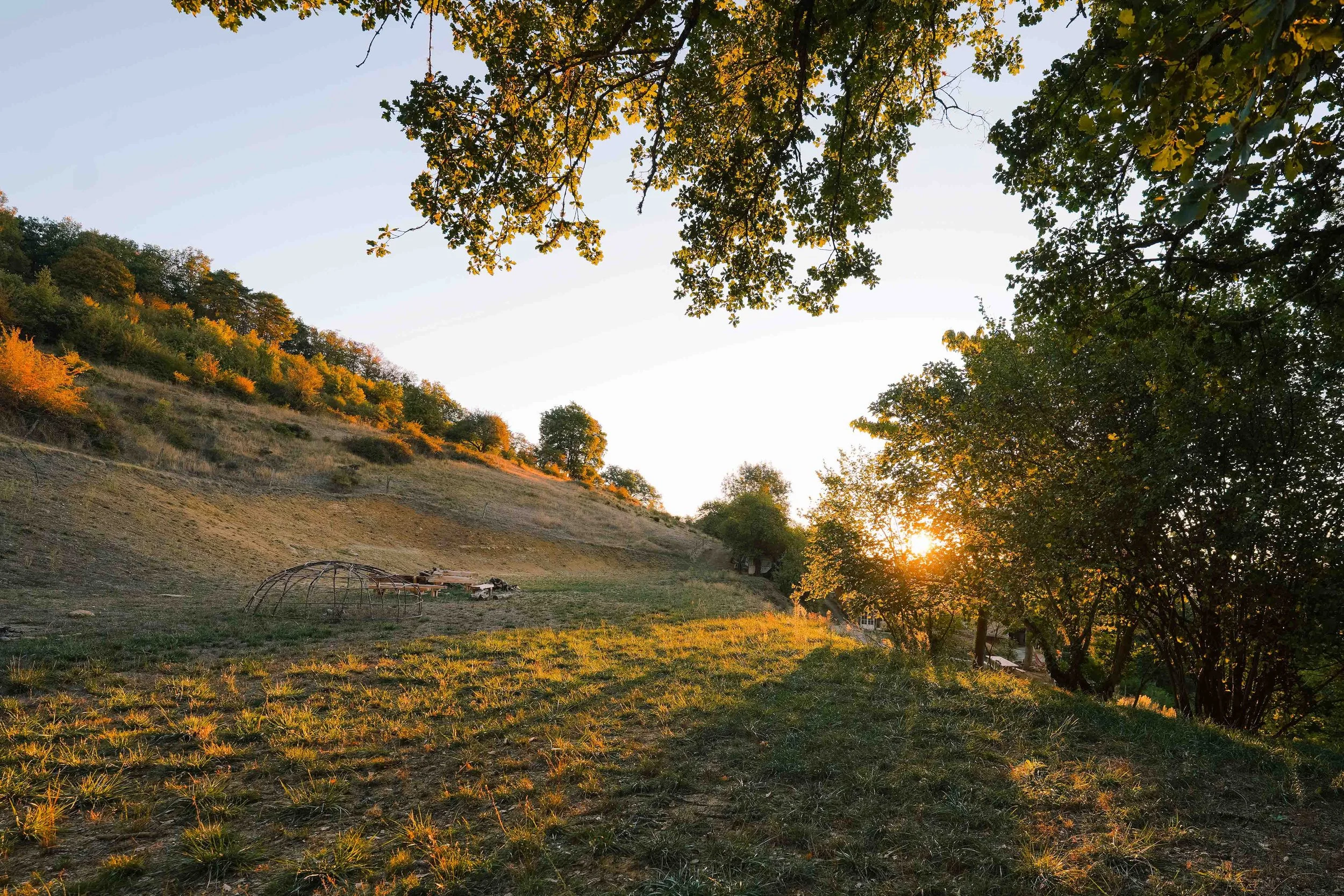Stage de cuisine végétale en pleine nature en Occitanie. 