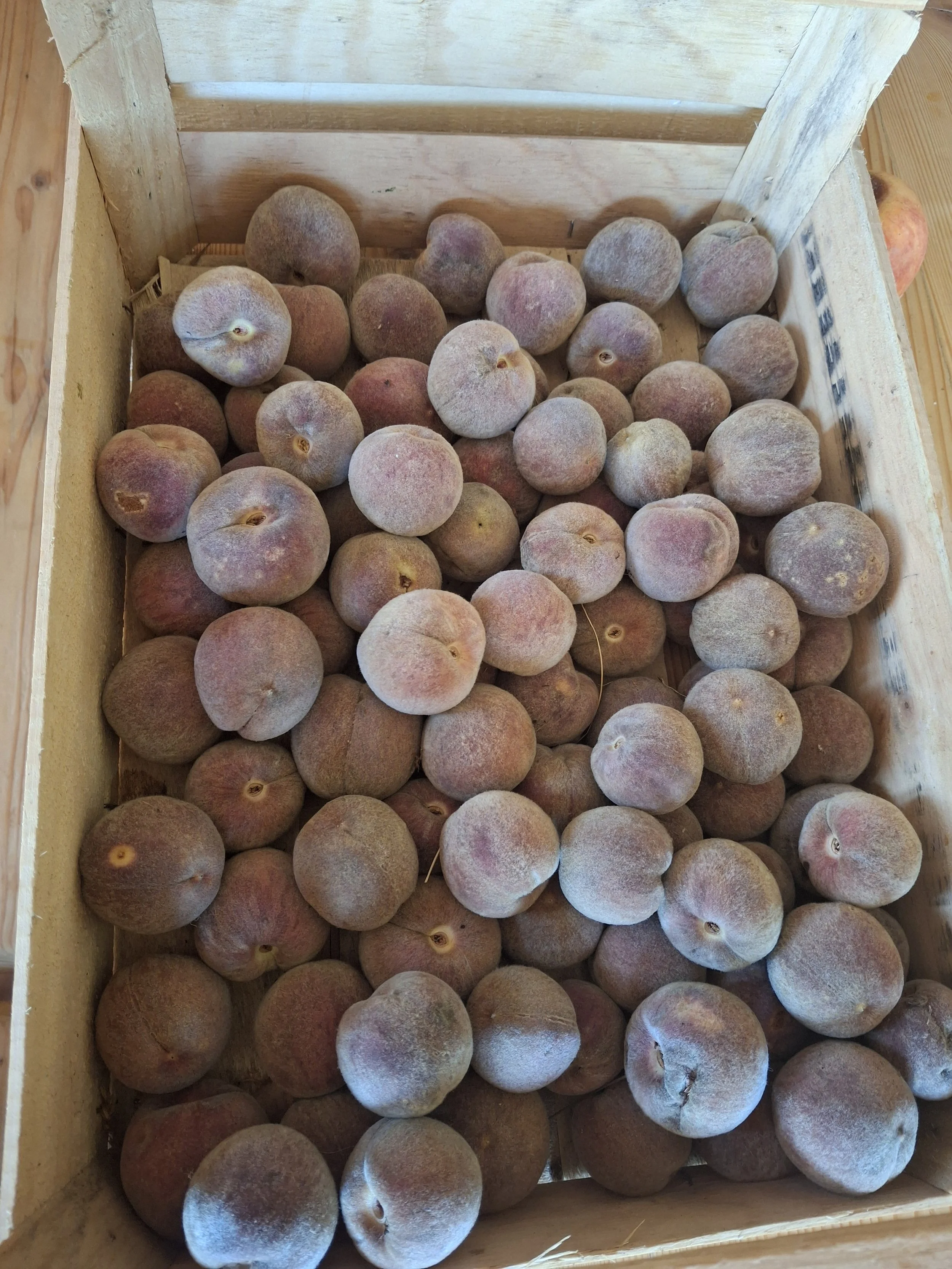 stage de cuisine inspirée de la naturopathie et de l'ayurvéda dans l'aude en occitanie 