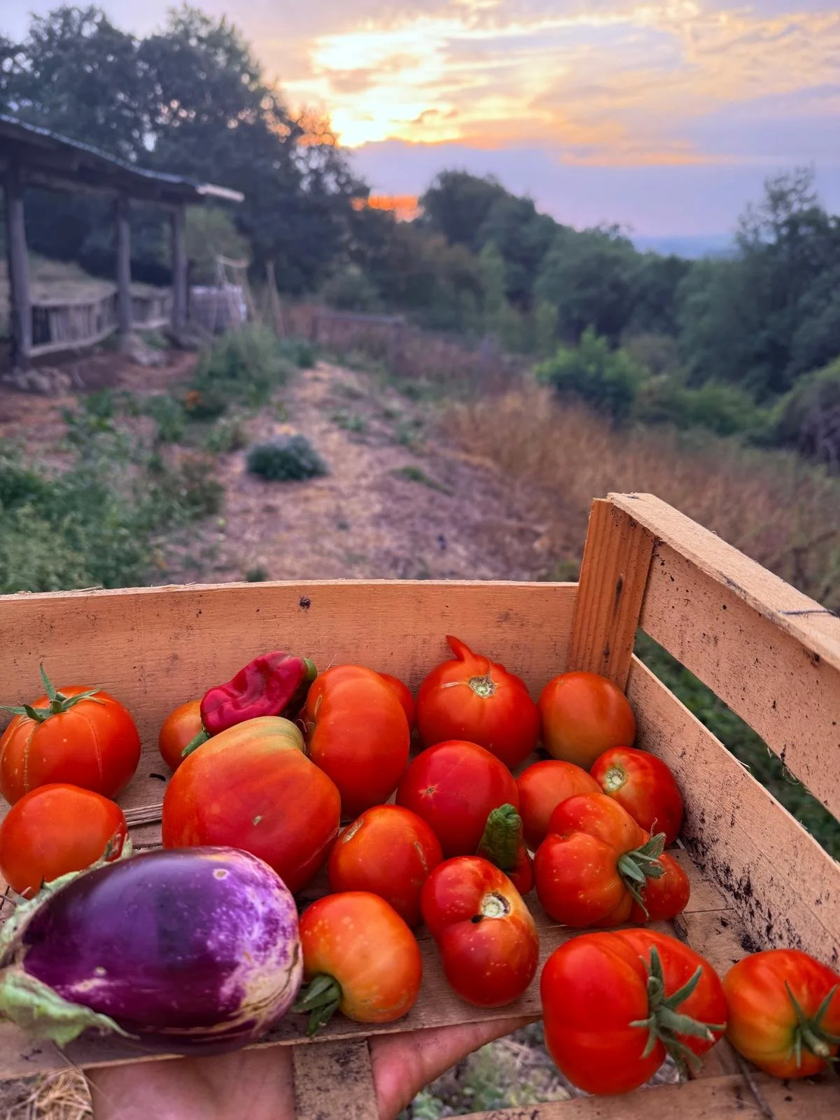 Cuisine saisonnière inspirée par l’Ayurveda, avec légumes, céréales, légumineuses et épices au cœur d’un stage au Domaine de Maynard.