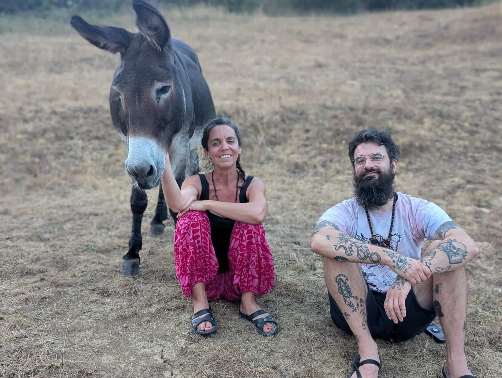 Le Domaine de Maynard accueille des bénévoles souhaitant découvrir un mode de vie plus proche de la nature. Nourris et logés en échange de leur participation aux tâches quotidiennes, ils peuvent prendre part au jardin, à la cuisine et à l’entretien d