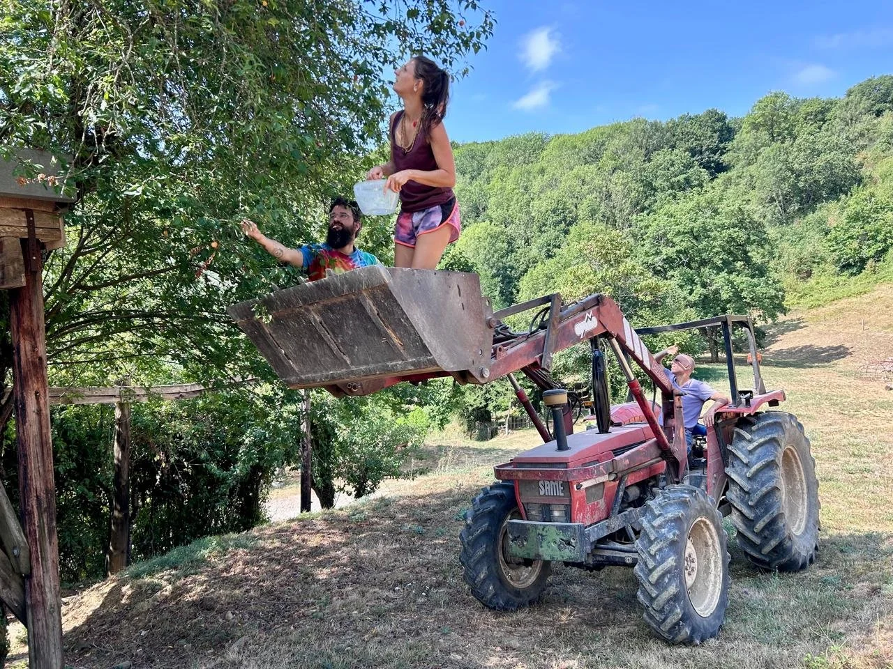 Vivre quelques temps dans une ferme écologique de l’Aude, participer aux travaux du quotidien et partager une vie simple au contact de la nature. Le Domaine de Maynard accueille des bénévoles pour le jardin, la cuisine, l’entretien et différents proj