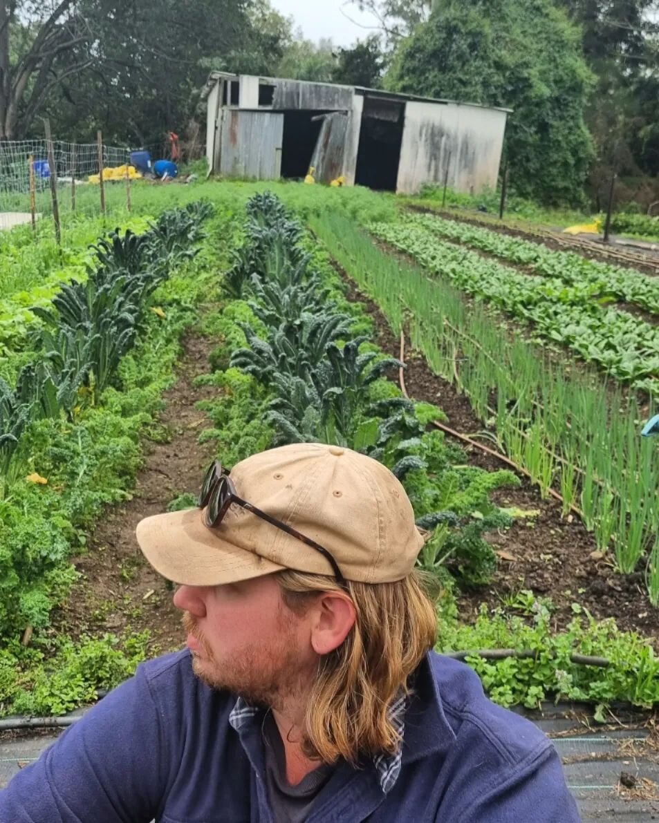 Shout out to @clearwaterharvest and @neighbourhoodfarm and @breathe.easy.farm and @nourishcompost for putting on a great field day! 

Super informative and so nice to catch up with people and meet new people 😍

#youngfarmersconnect #marketfarming #v