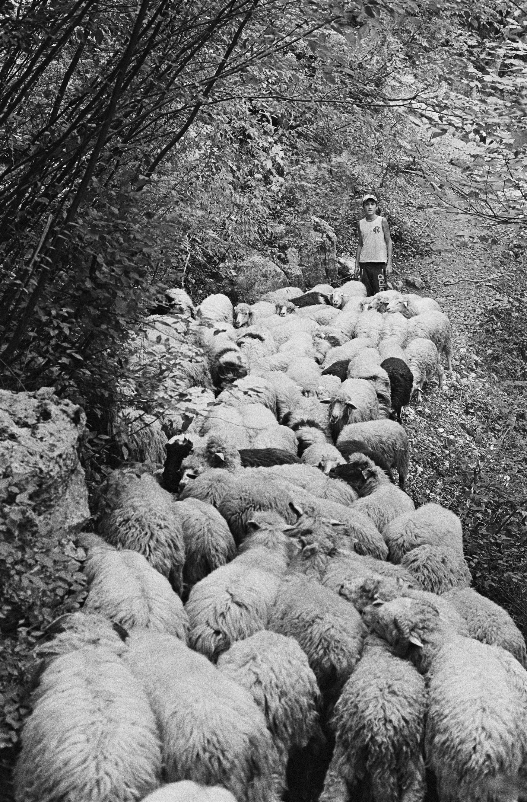 Teth, Albania 2012