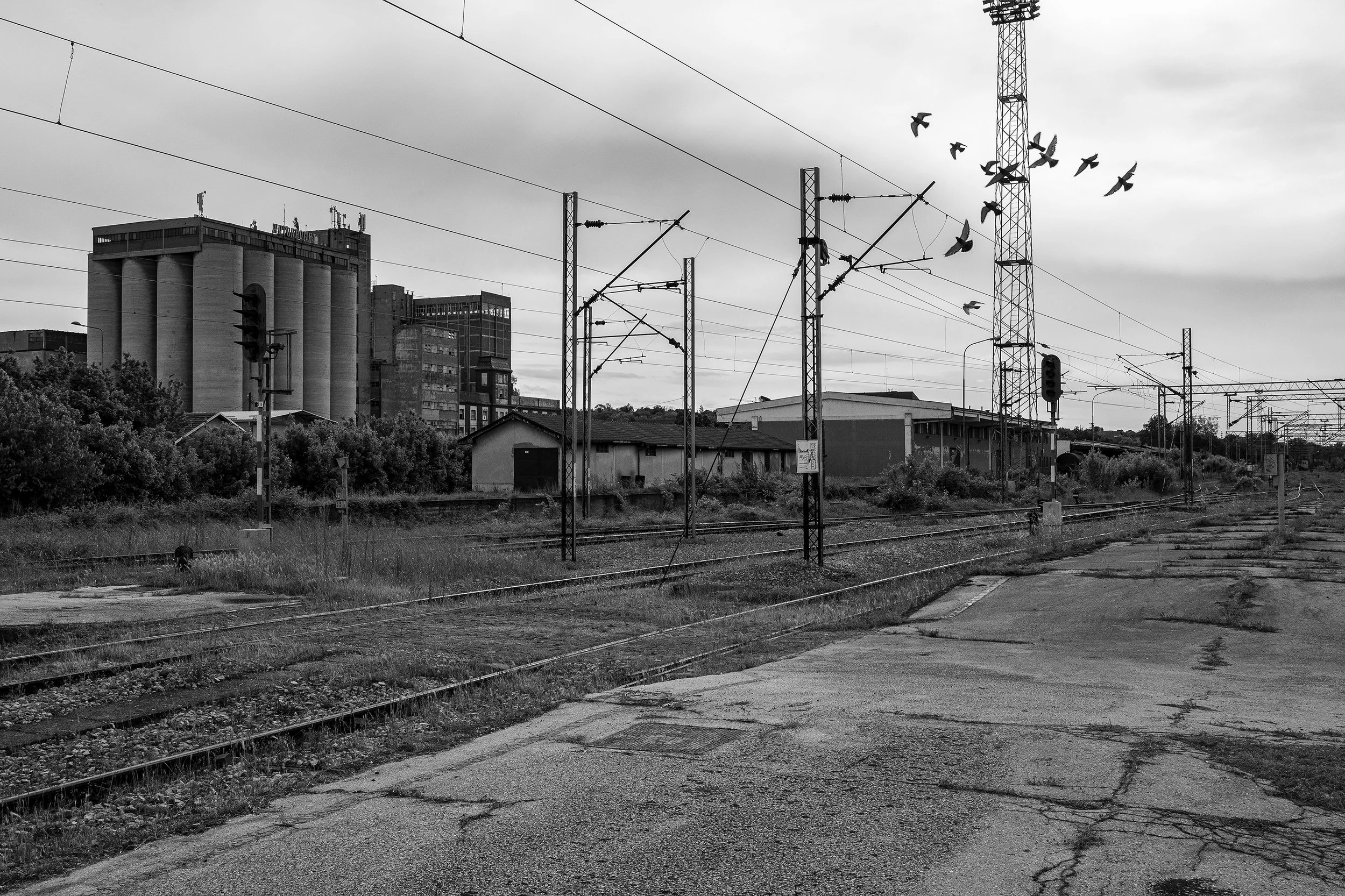 Niš, Serbia, 2026