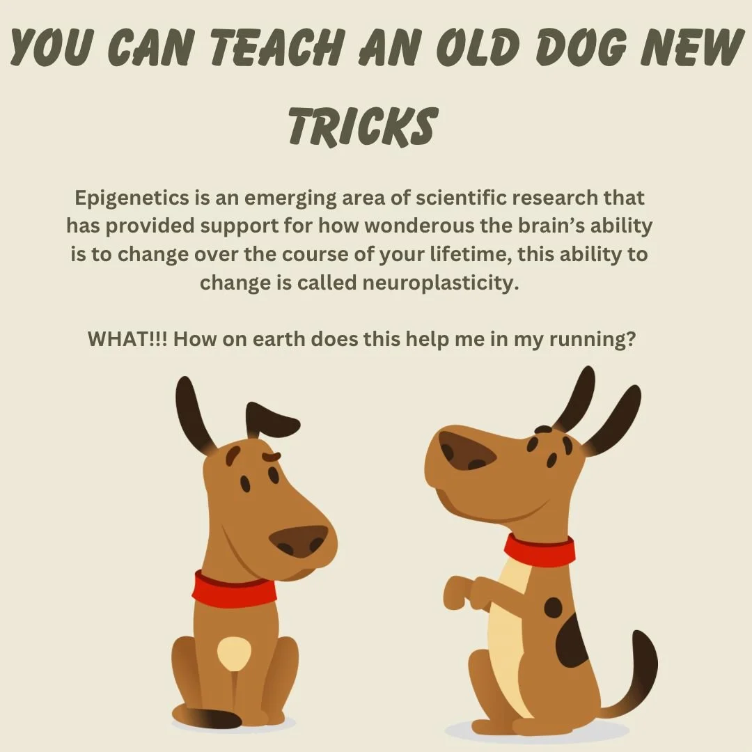 Yes! You can teach an old dog new tricks