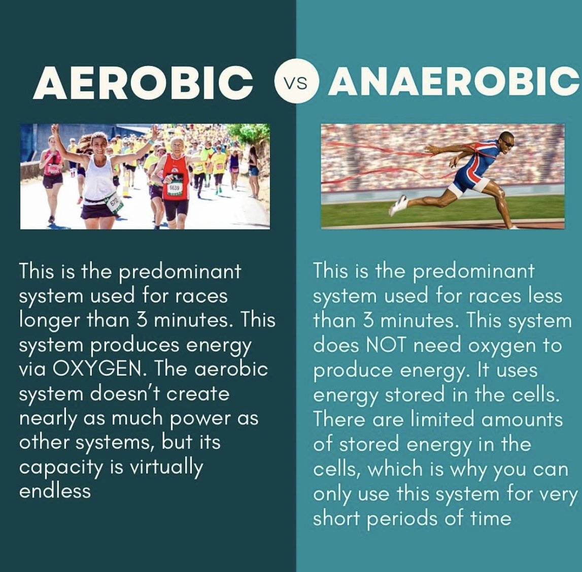 Aerobic Vs Anaerobic Runverity