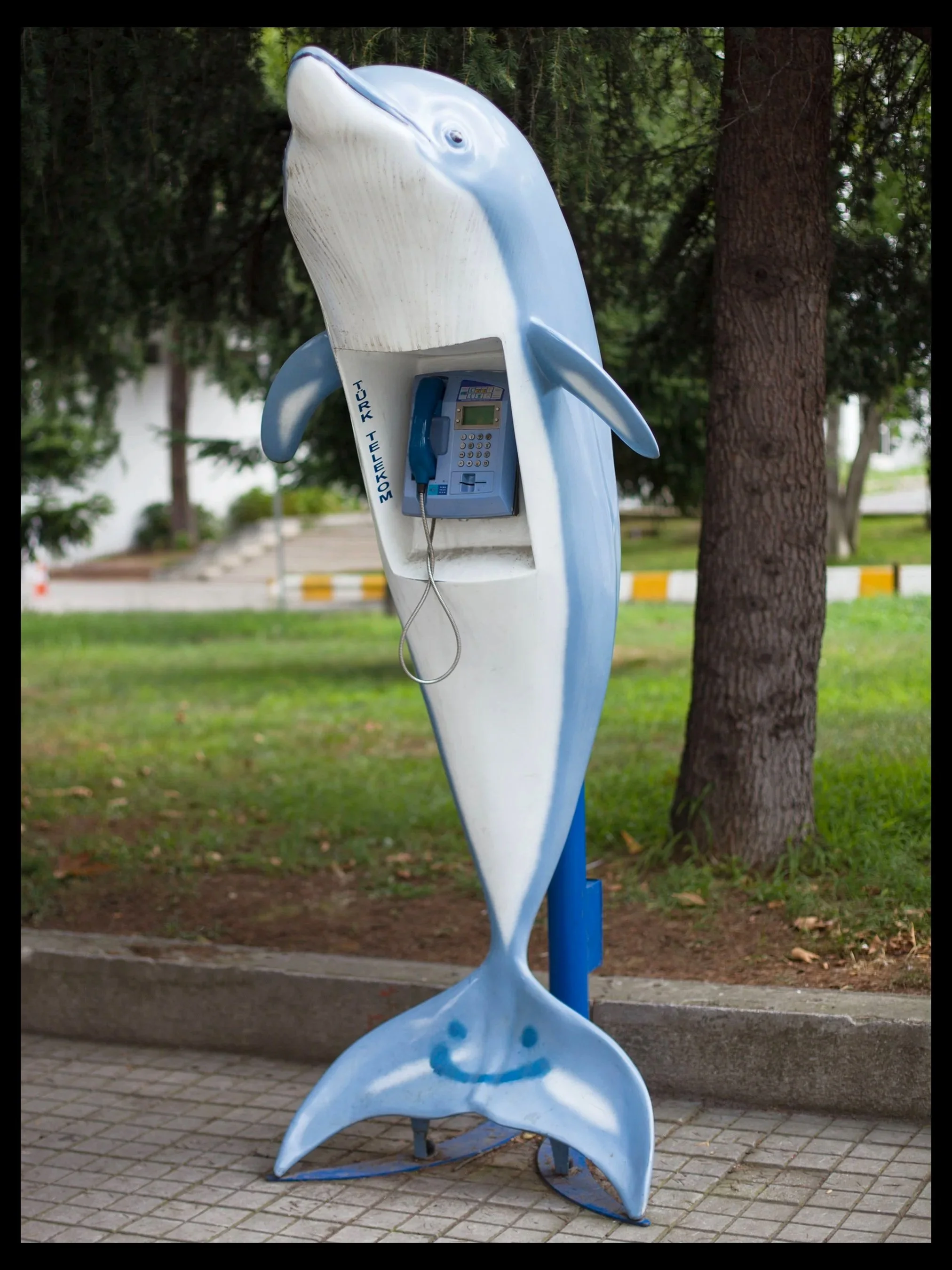 dolphin+phone+print.jpg