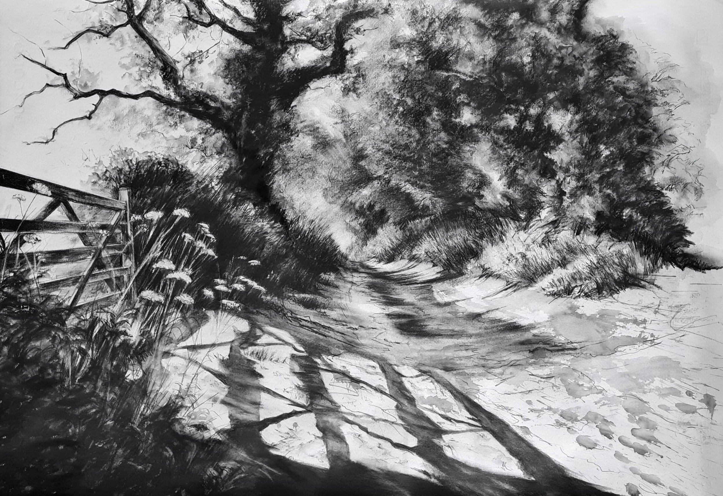 Subtractive Charcoal Drawing Workshop - WENDY LEACH ARTIST
