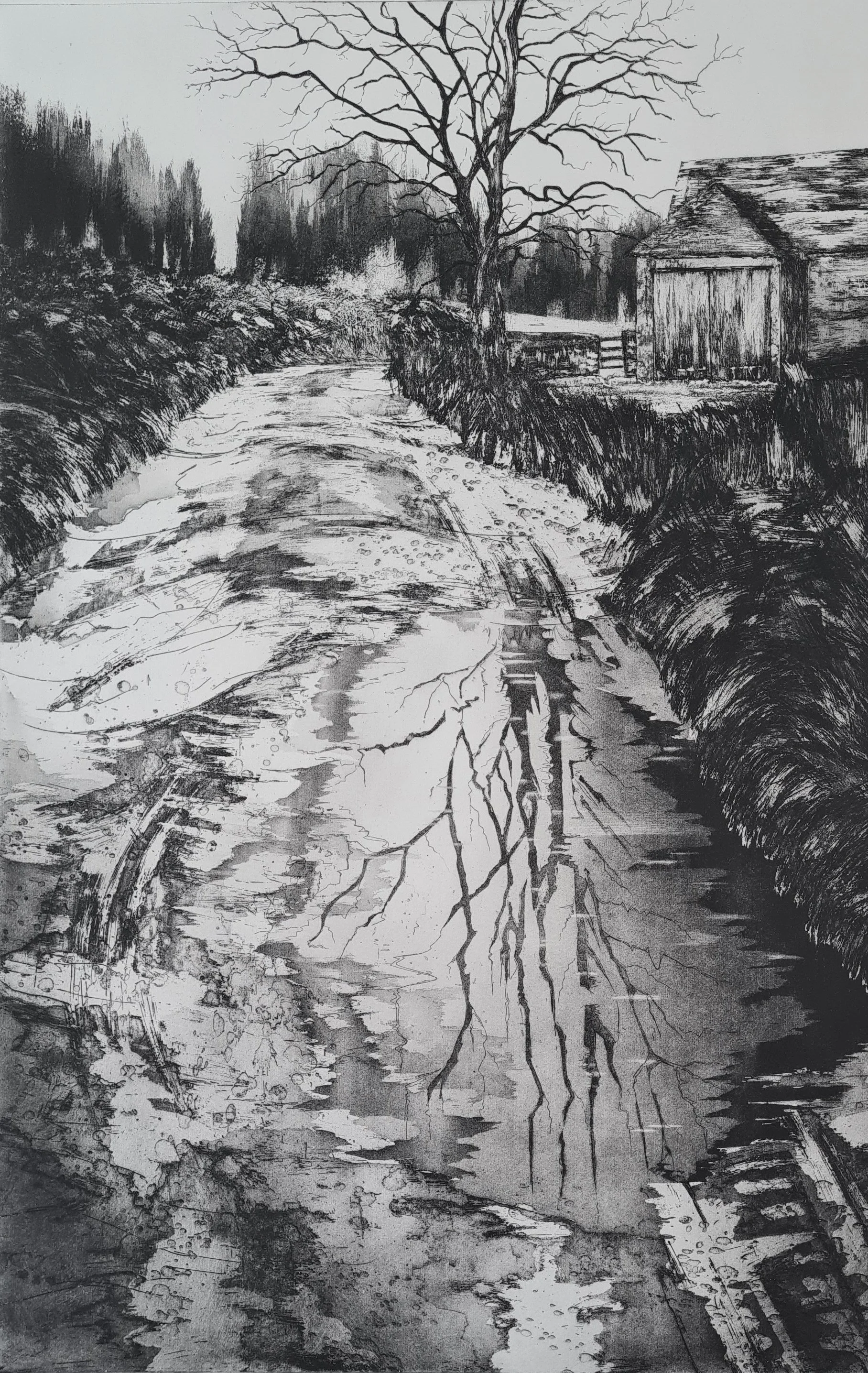 Stand still, for a moment, 2025 etching 61 x 41cm