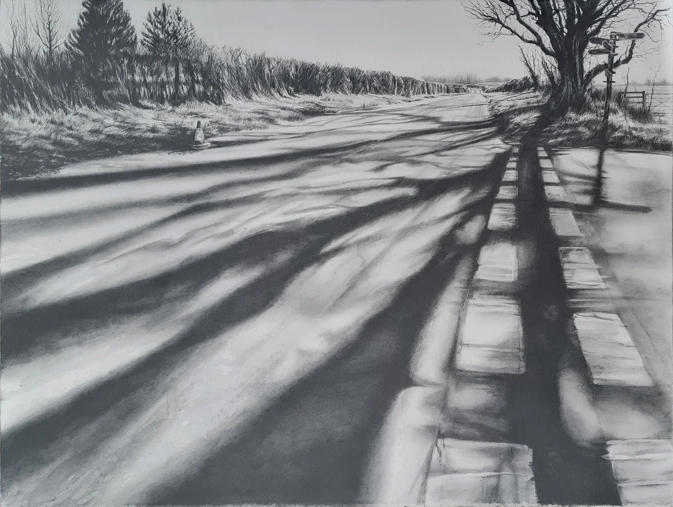 Possibilities, 2025  Graphite and watersoluble graphite 76 x 56cm Selected for the Bath Society of Artists 120th Open Exhibition