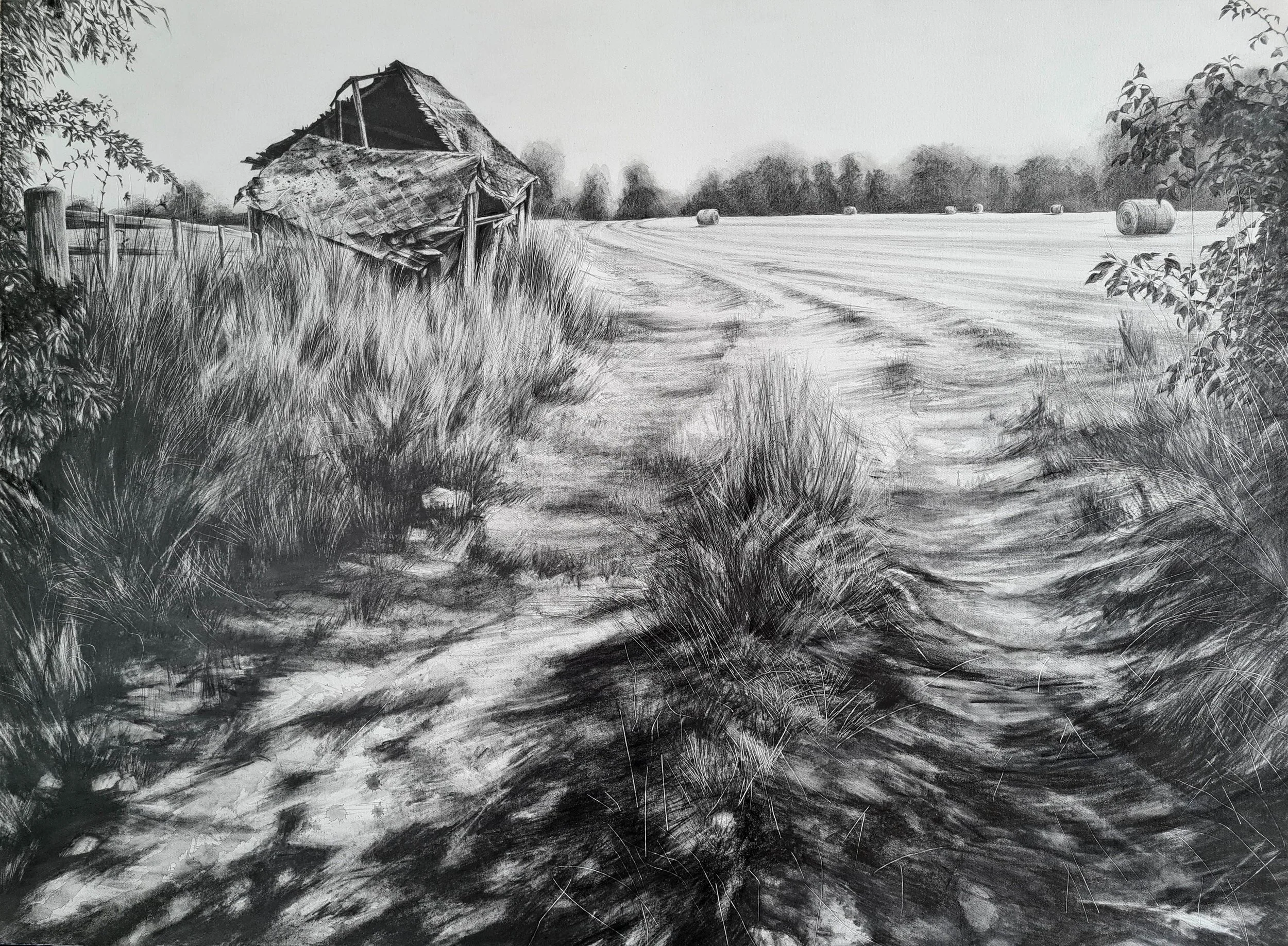 Reclaiming, 2024
Graphite and water soluble graphite on Saunders Waterford 640gsm paper 76 x 56cm  SOLD by Spencer House Gallery