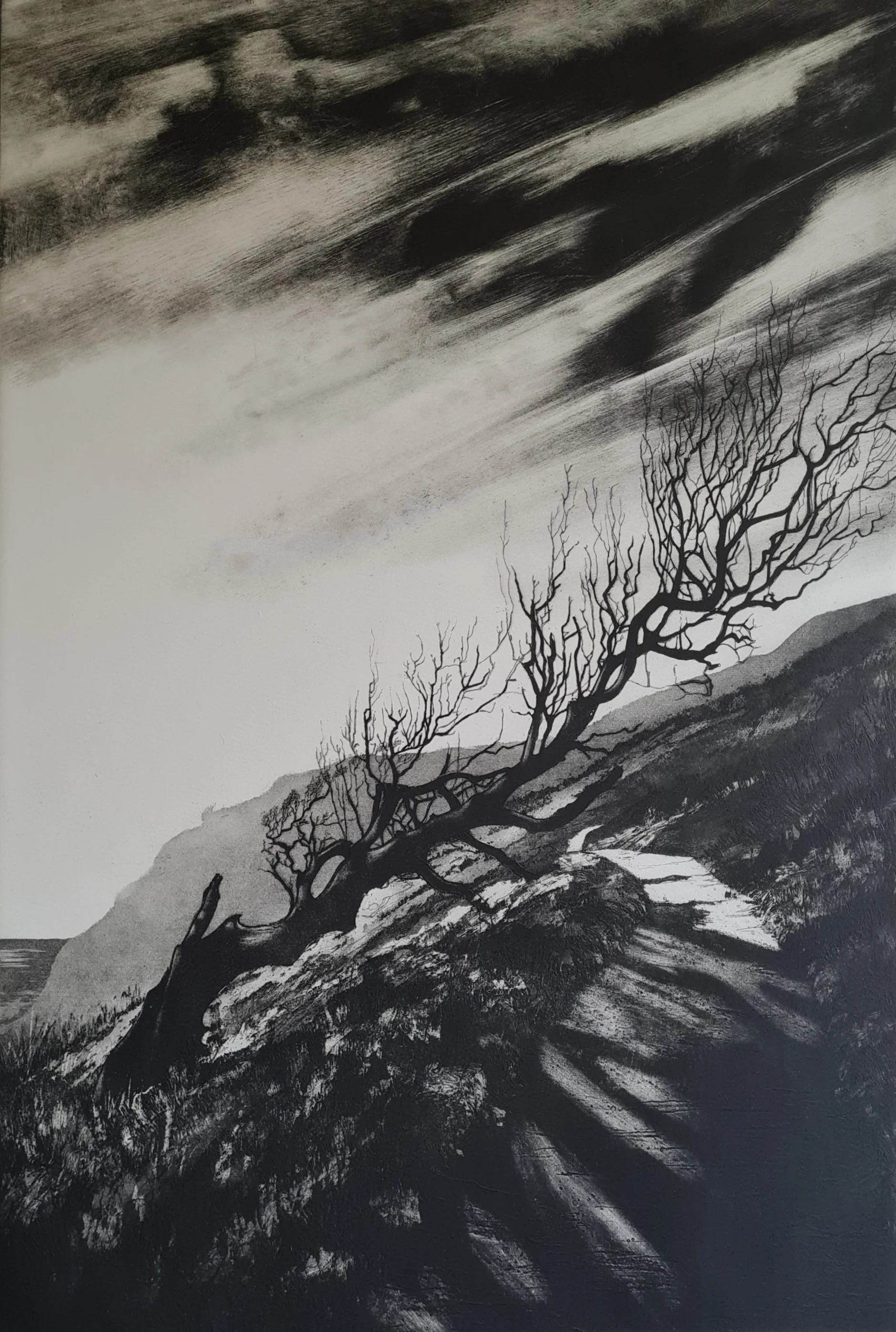 Caught in the wind blown light, 2025 
Etching 61 x 41cm