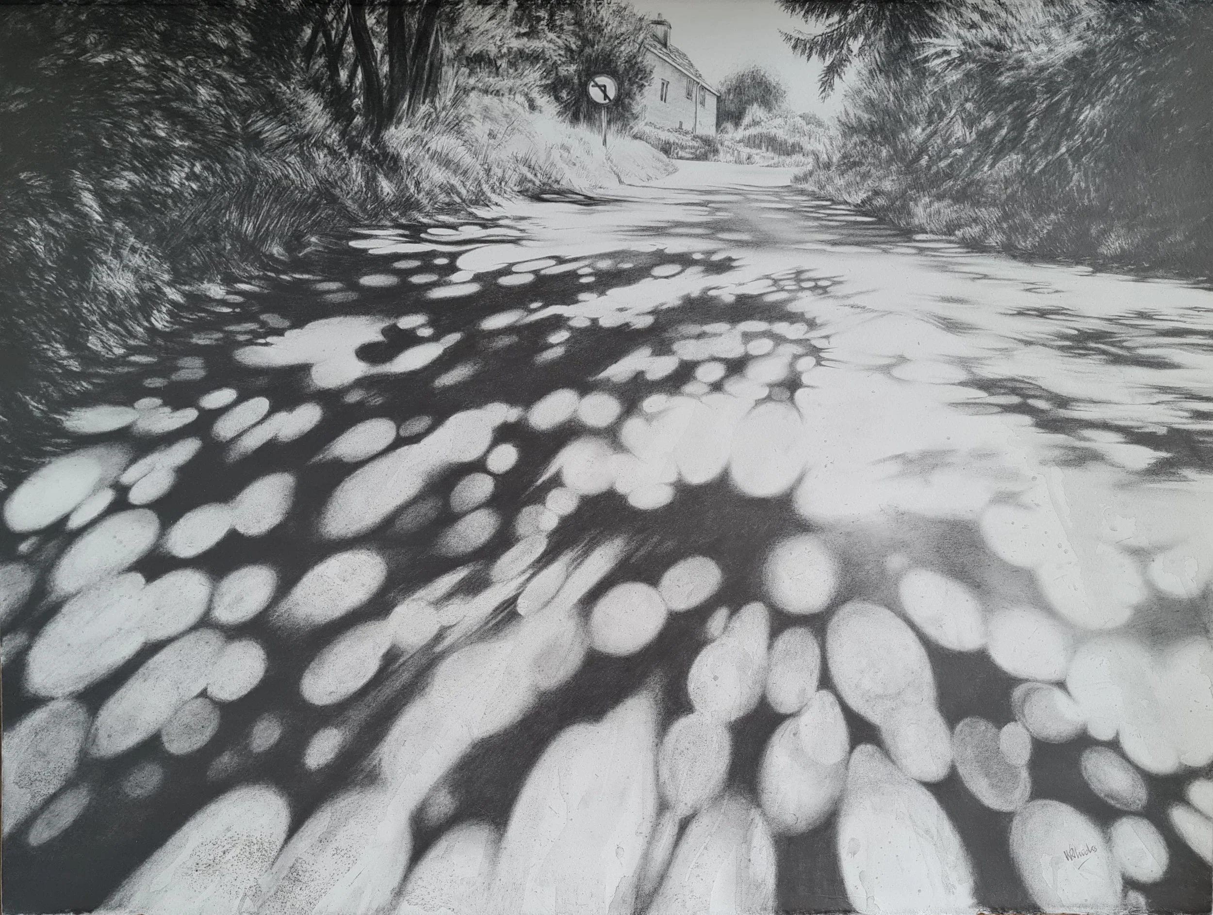 Quiescent, 2025  Graphite and watersoluble graphite 76 x 56cm