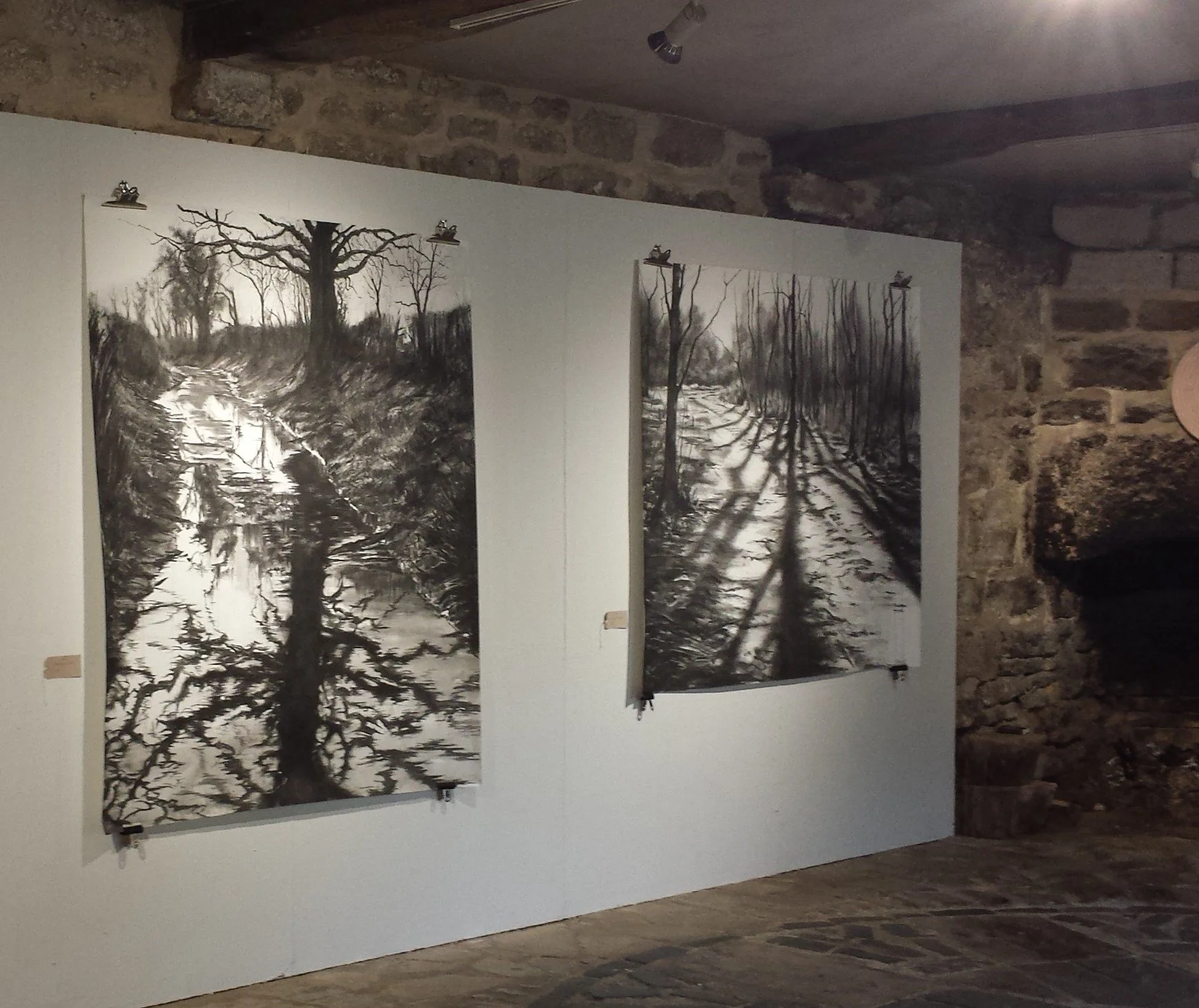 Draw Big, Think Big. draw large, large scale drawing, drawing, Wendy Rhodes, drawing course 