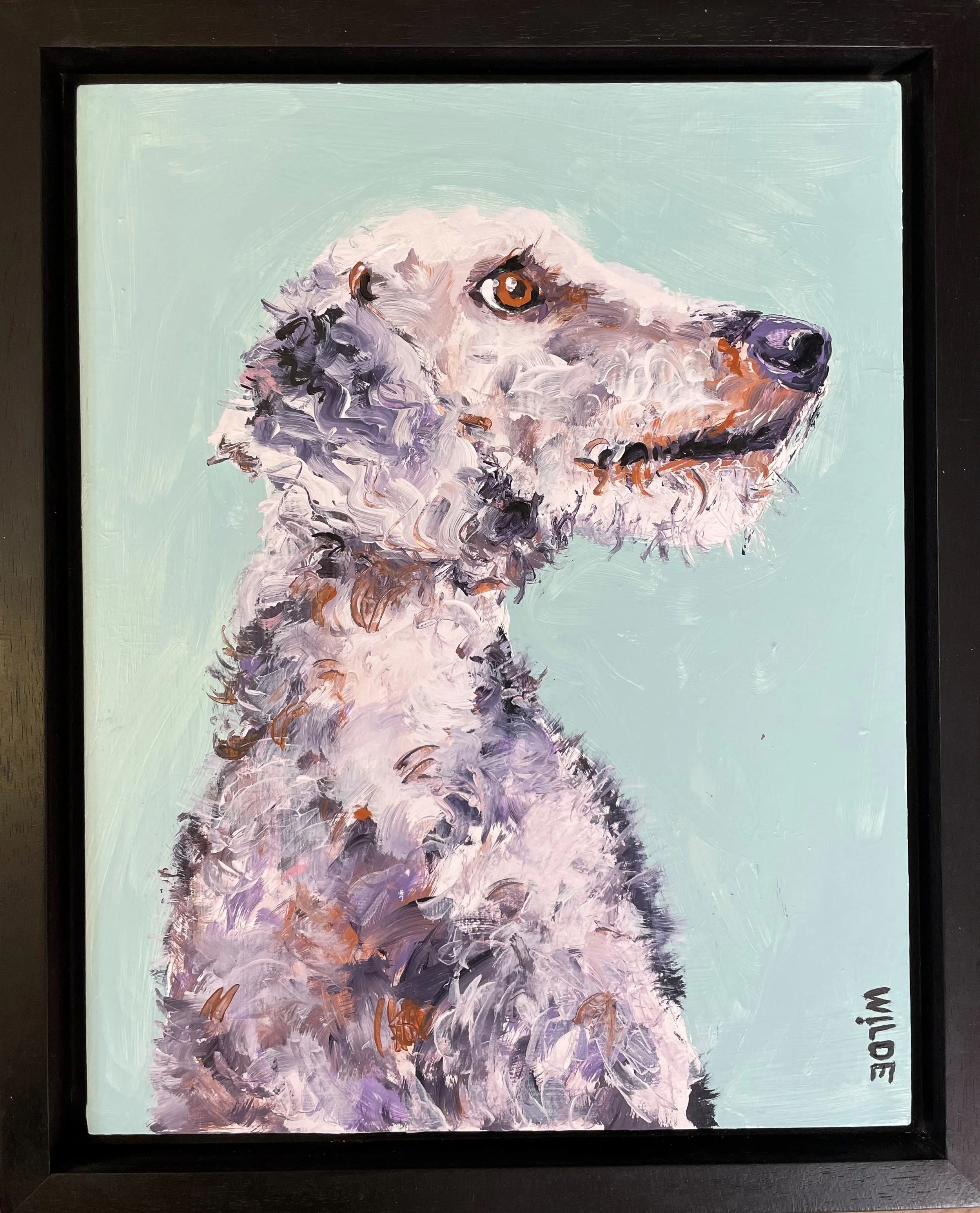 acrylic bedlington.jpg