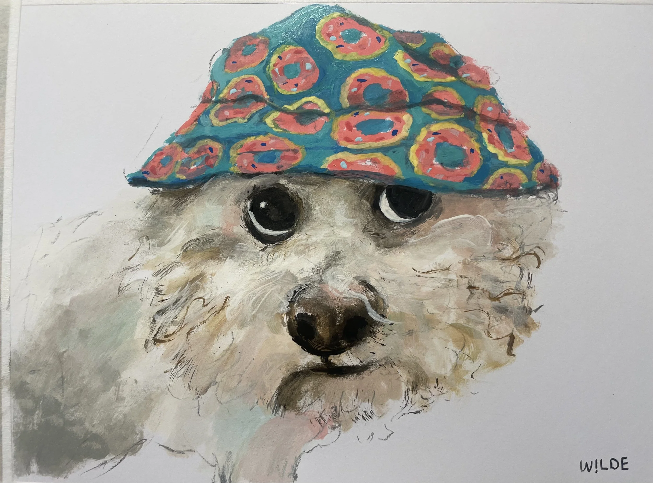 tilly.jpg