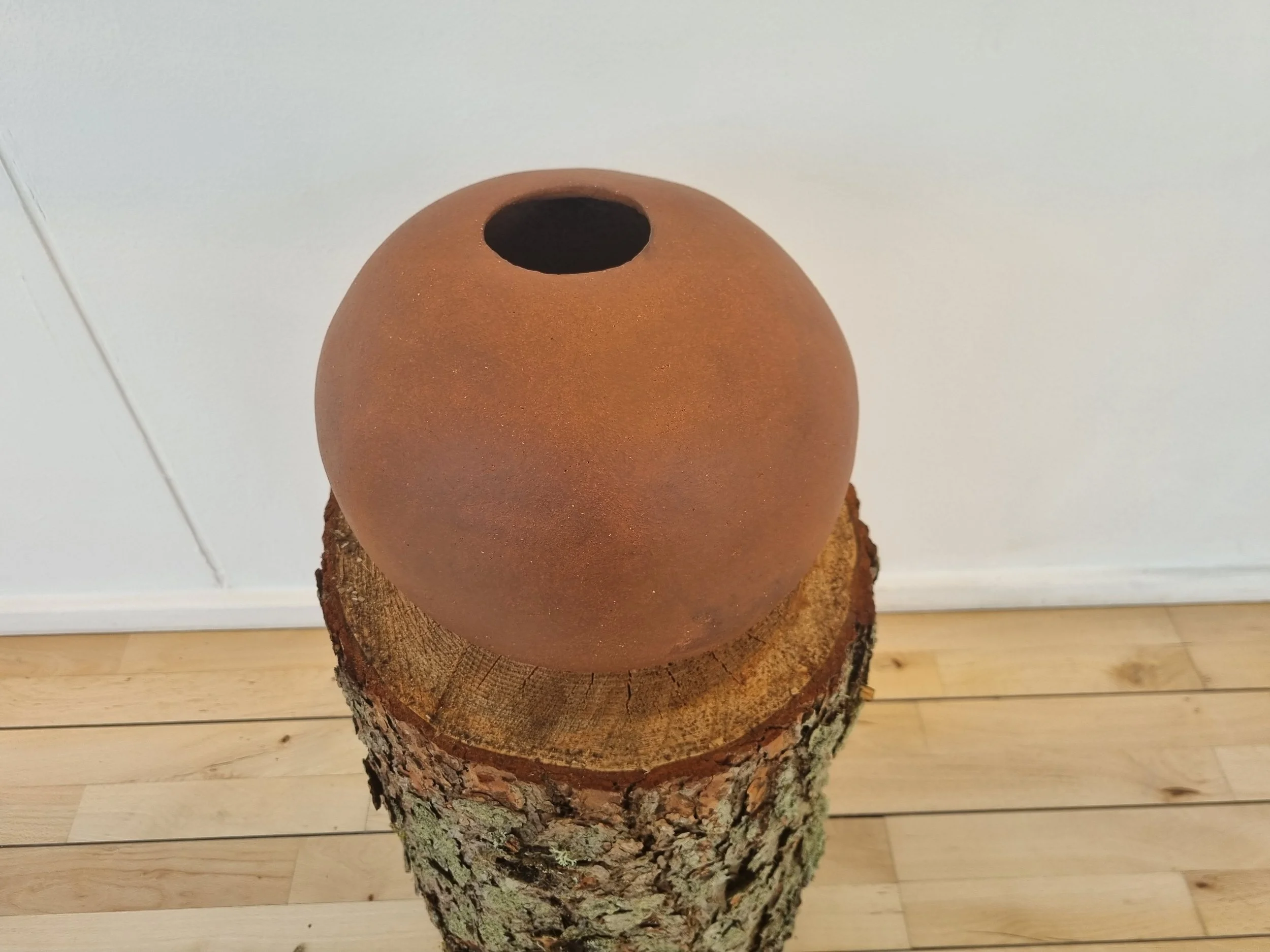 20220528_142809.jpg