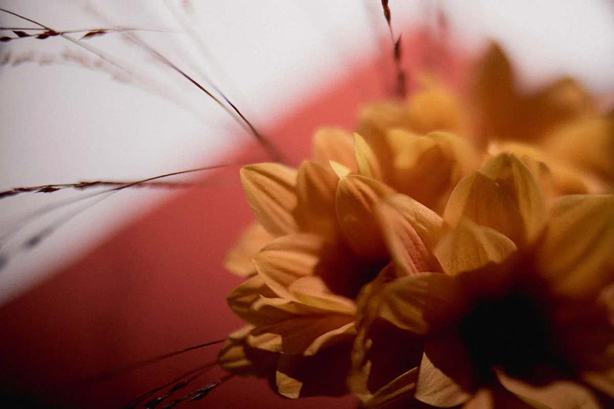 Trouver-photographe-mariage-deco-fleurs.jpg