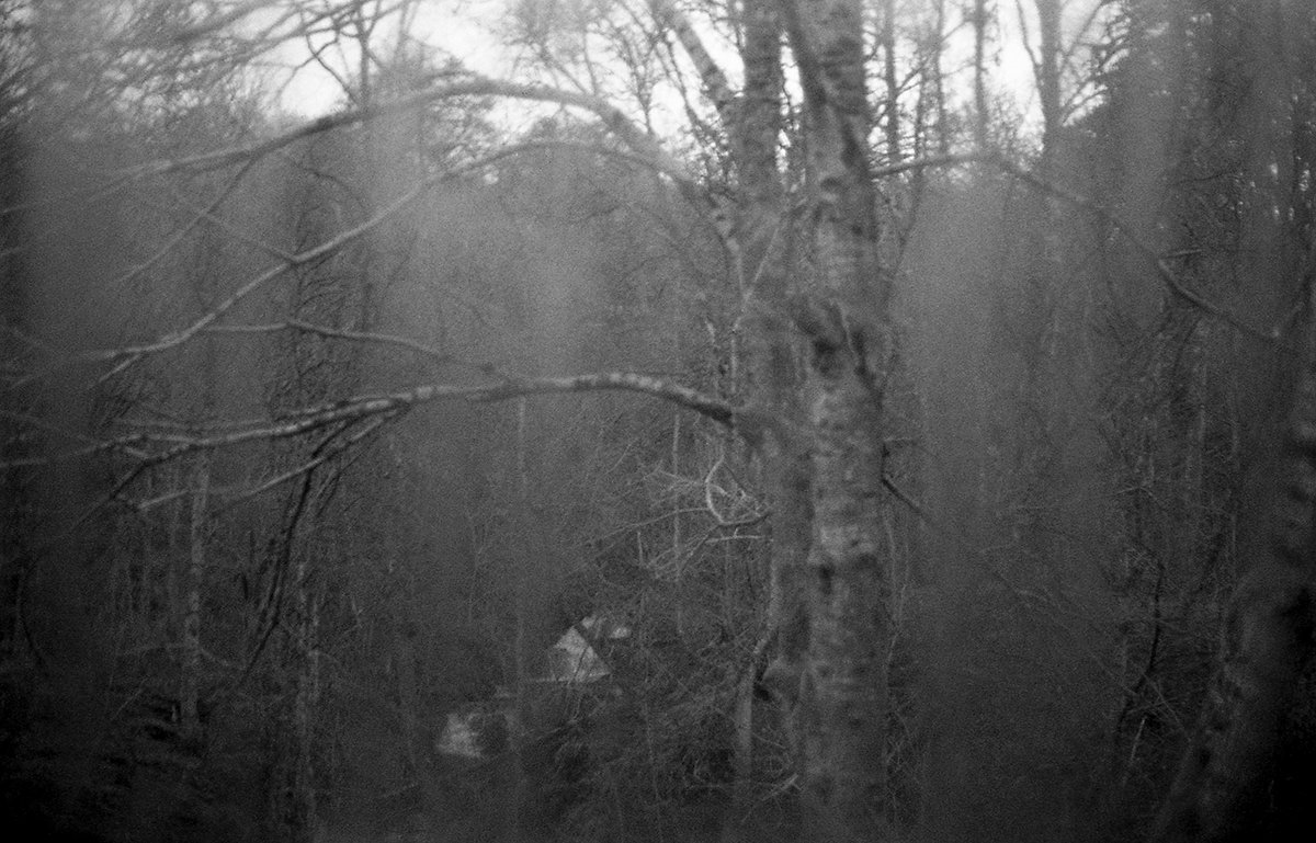 photo-ecosse-brouillard.jpg