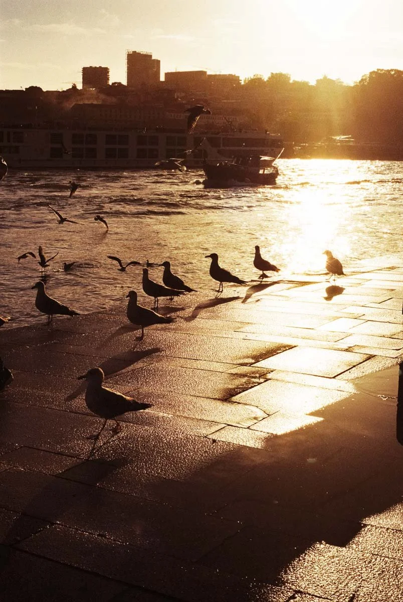 voyage-portugal-photo-argentique-porto-mer.jpg