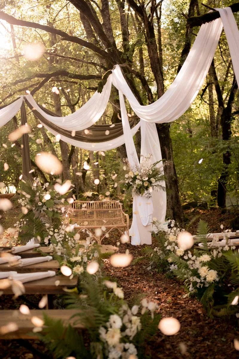 decoration-mariage-foret-ceremonie-ruban.jpg