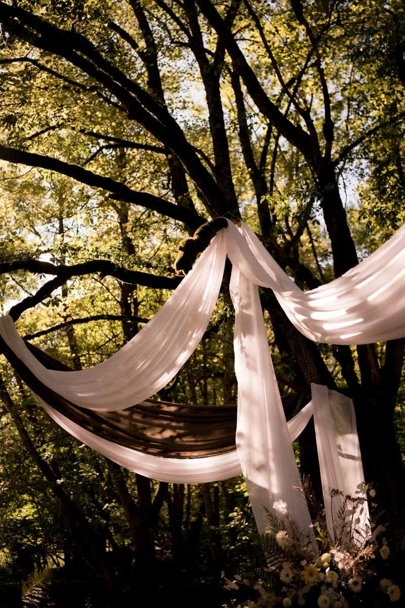 decoration-mariage-foret-ruban-arbres.jpg