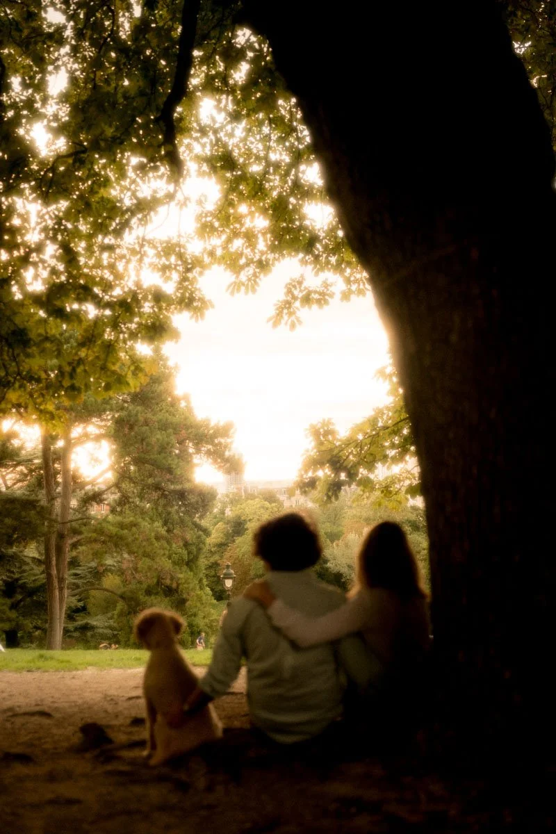 seance-engagement-paris-buttes-chaumont-couple-cinematic.jpg