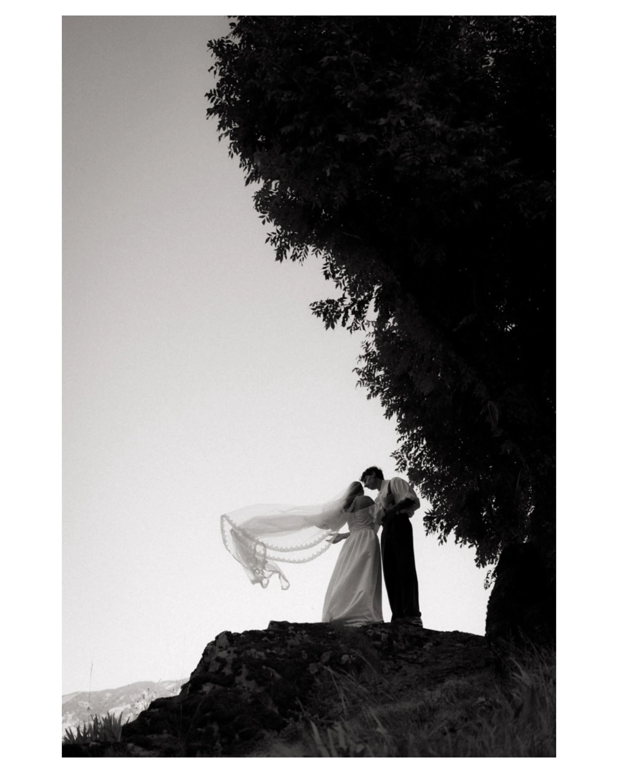 ✨ Daydreamer Wedding ✨

Un shooting d&rsquo;inspiration mariage pens&eacute; comme une douce journ&eacute;e de r&ecirc;verie aux esprits vintage. 

C&rsquo;&eacute;tait intense, &ccedil;a fait un moment que j&rsquo;y pense &agrave; cette journ&eacute