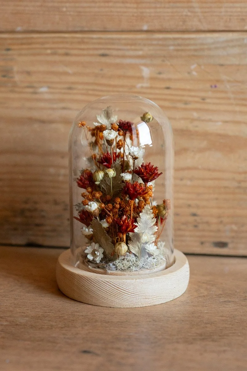 Cloche fleurs séchées orange / doré