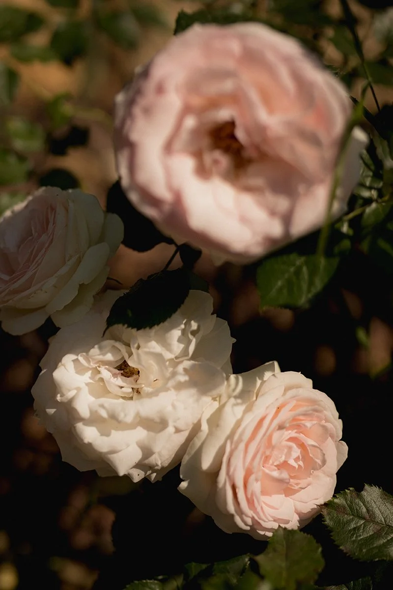 photographe-mariage-chateau-grimaldi-detail-fleurs.jpg