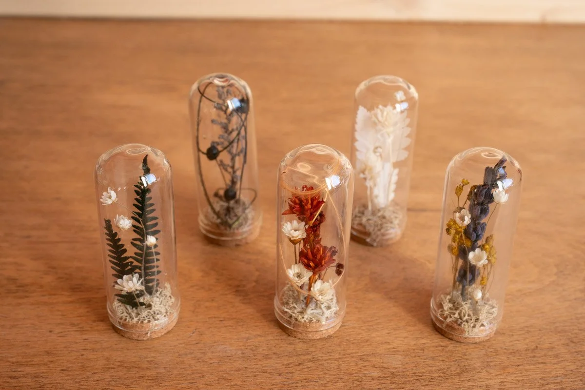 Mini cloche fleurs séchées