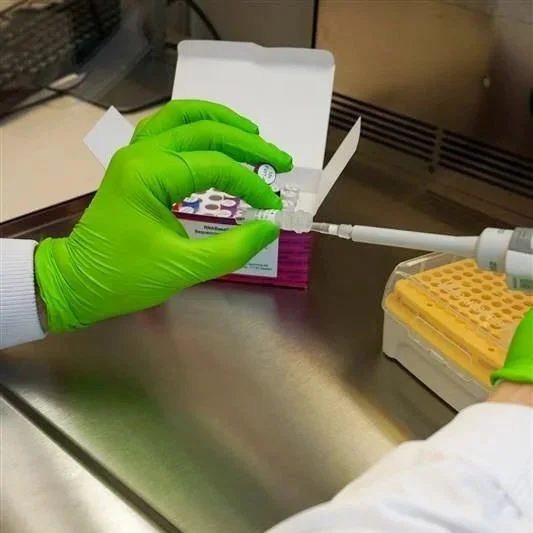 A scientist wearing green gloves is pipetting from a RNA BaseCode reagent tube.