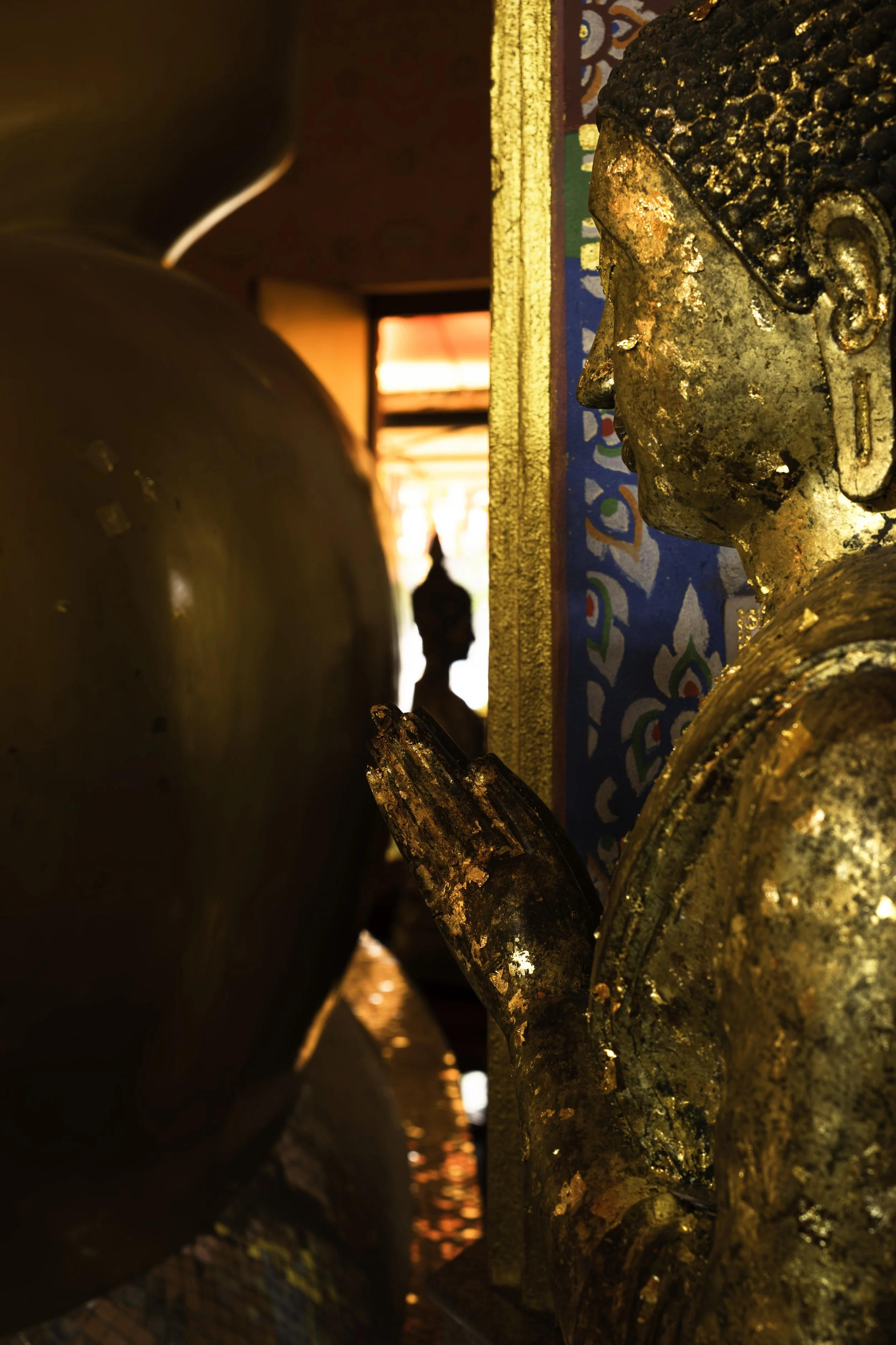 _DSF4875-Enhanced-NR copy.jpg